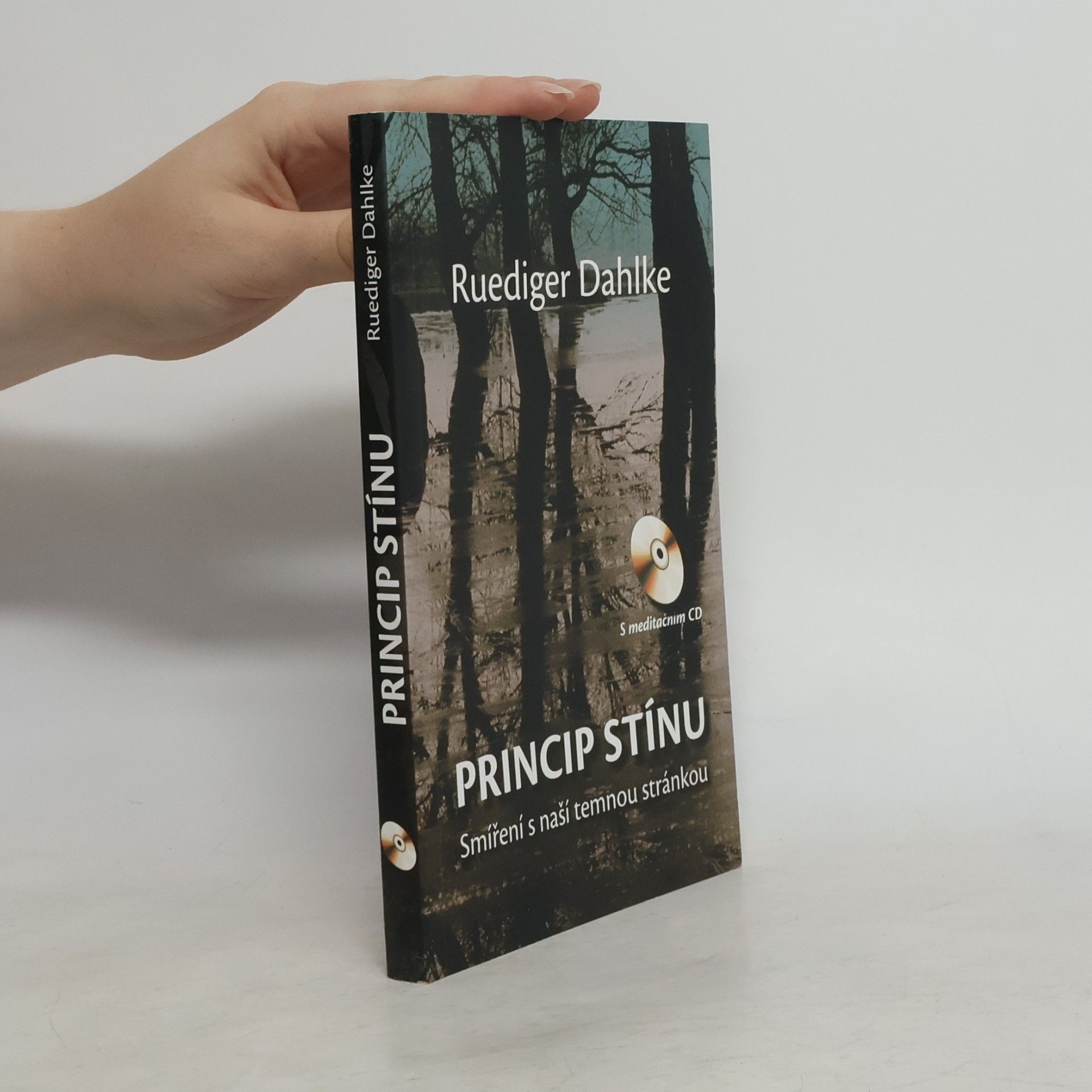 Princip stínu: Smíření s naší temnou stránkou