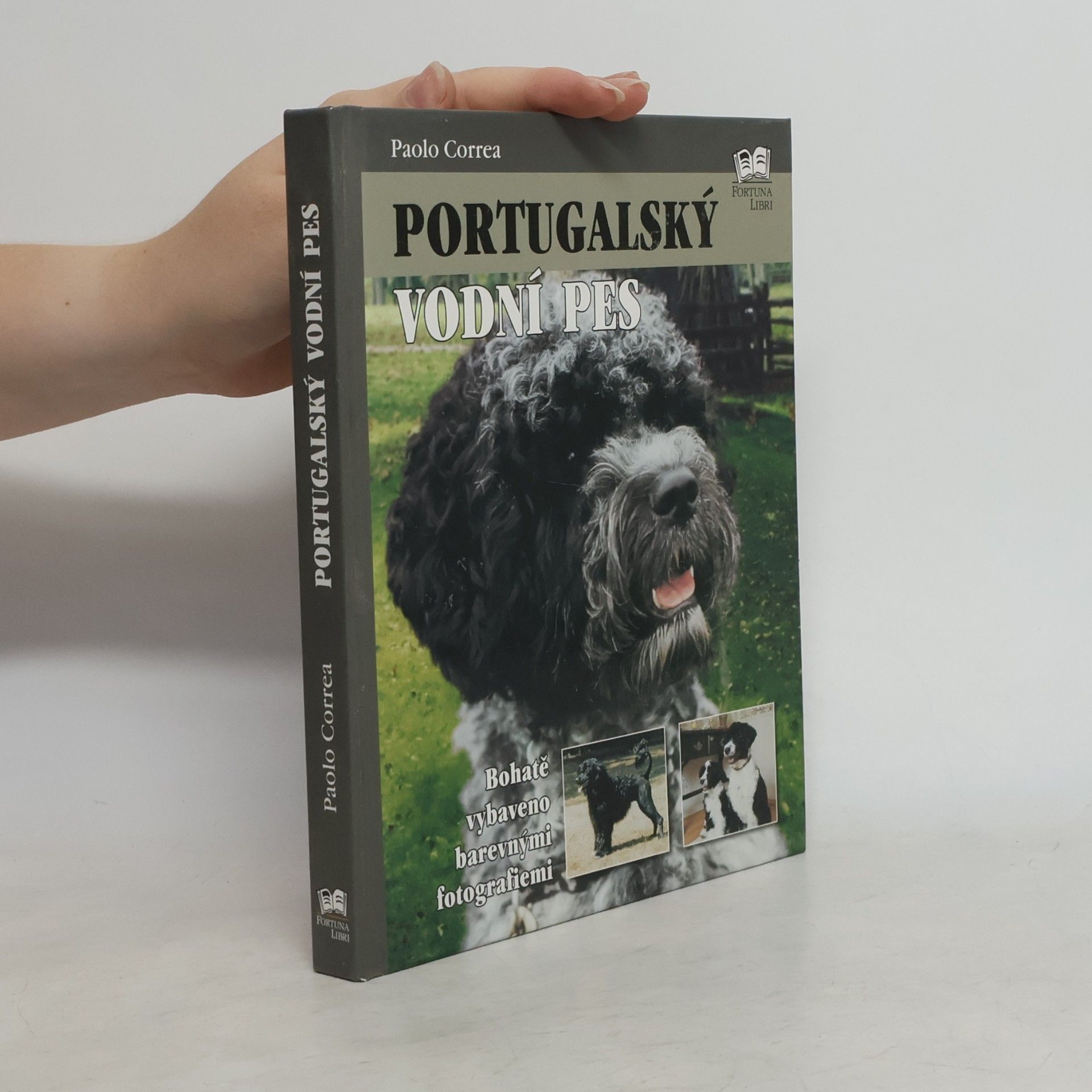 Paolo Correa Portugalský vodní pes