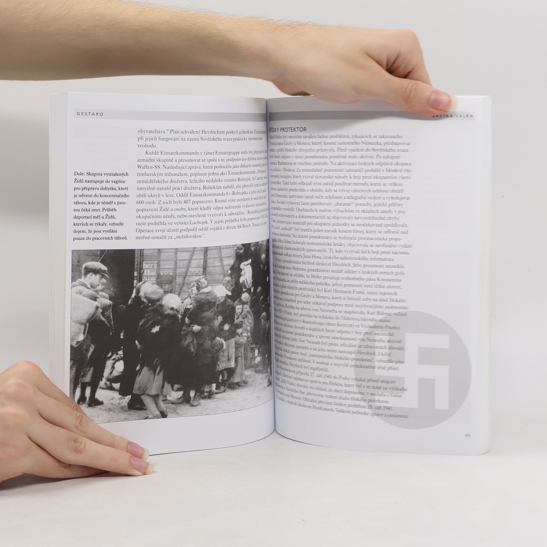 Rupert Butler Gestapo: Dějiny Hitlerovy tajné policie 1933-45