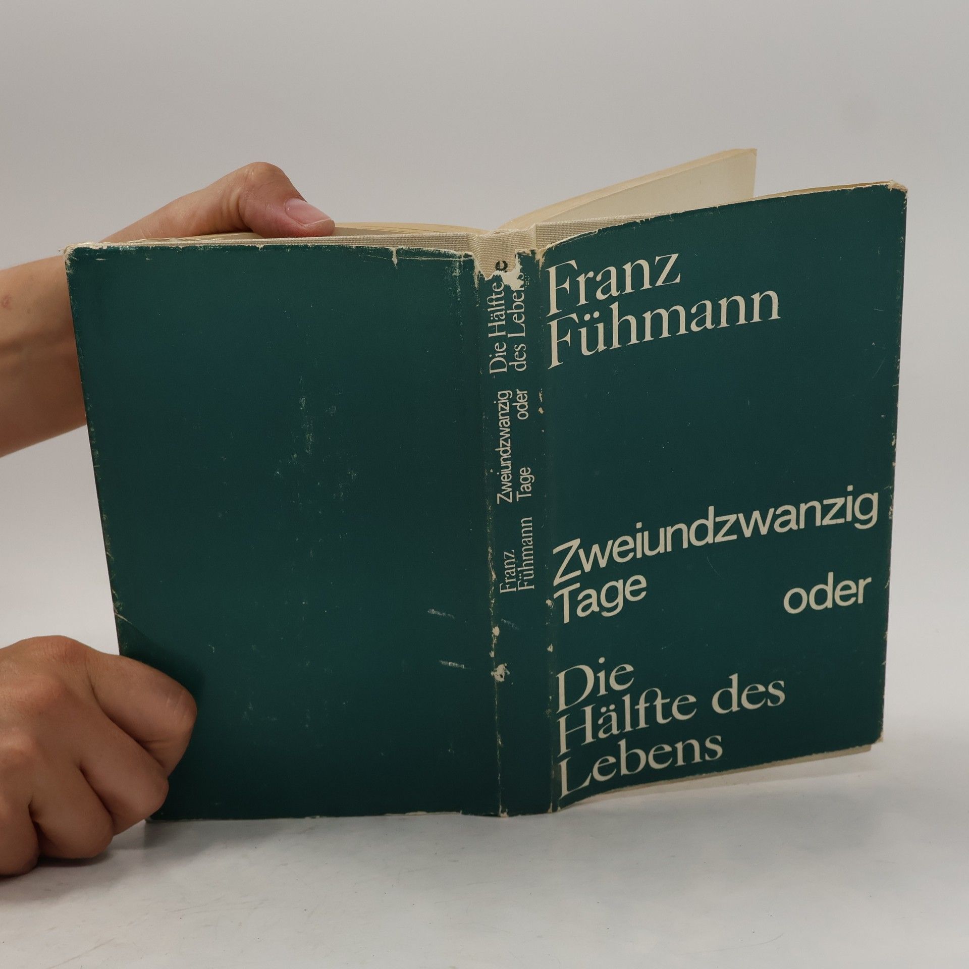 Franz Fühmann Zweiundzwanzig Tage oder Die Halfte des Lebens