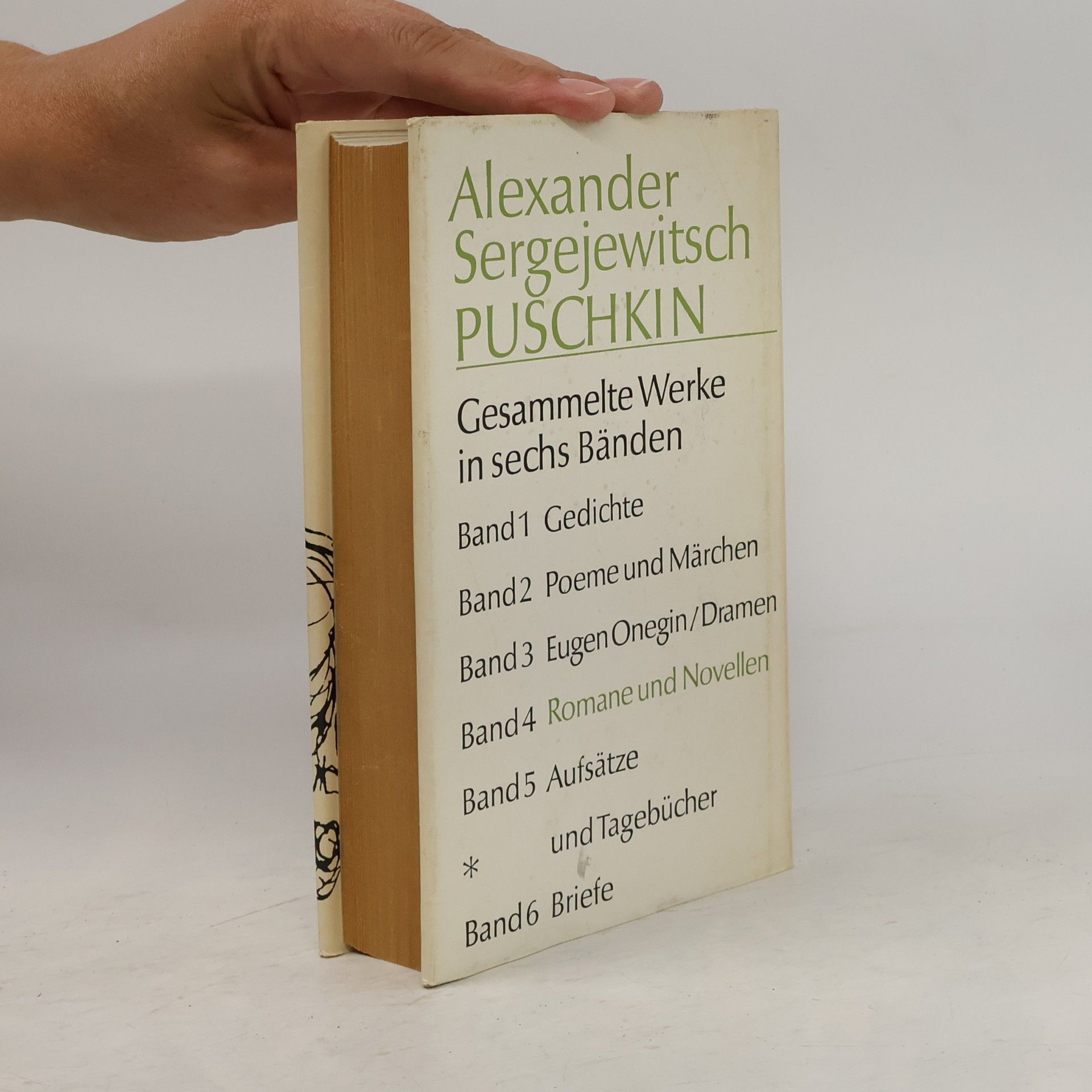 Alexander Pushkin Romane und Novellen