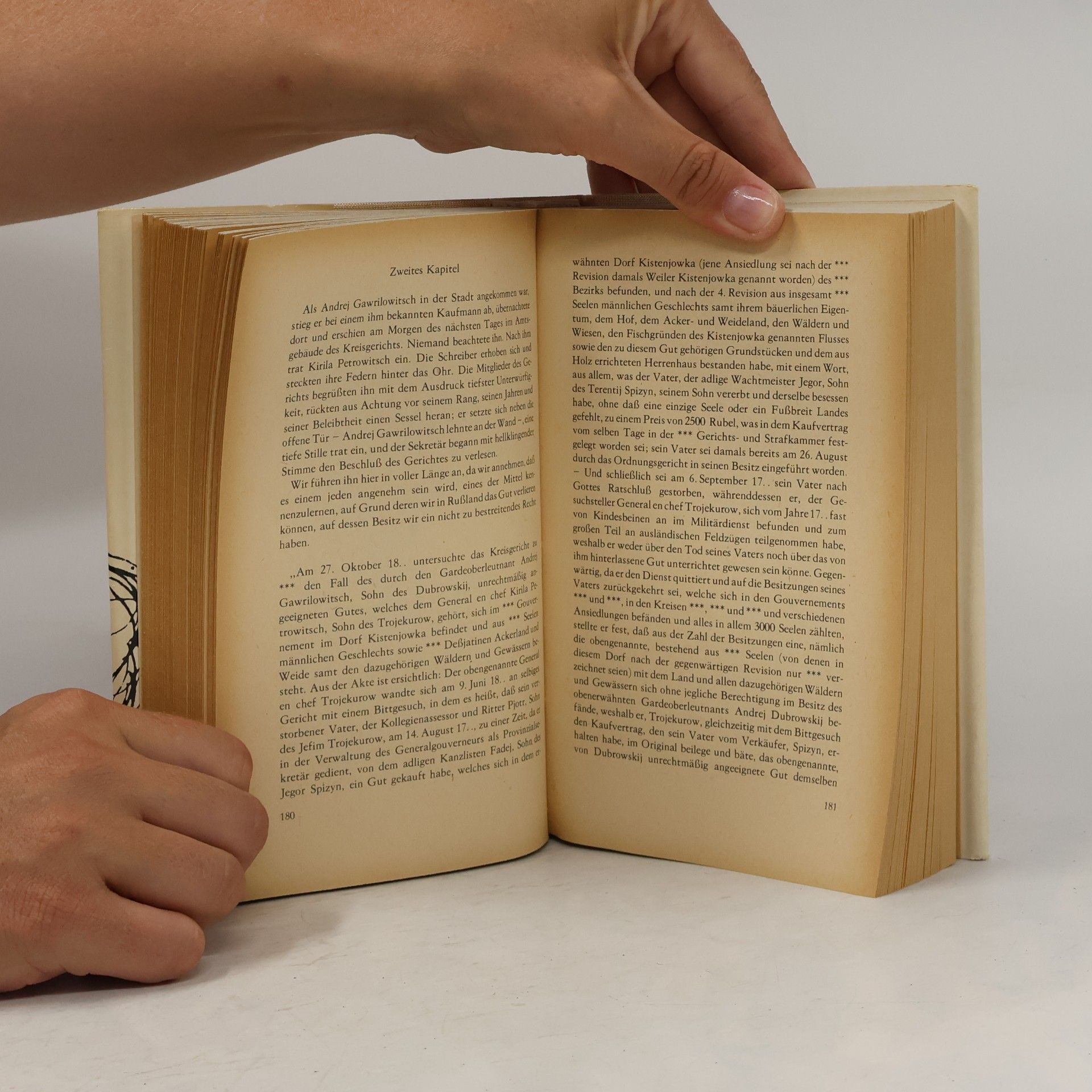 Alexander Pushkin Romane und Novellen