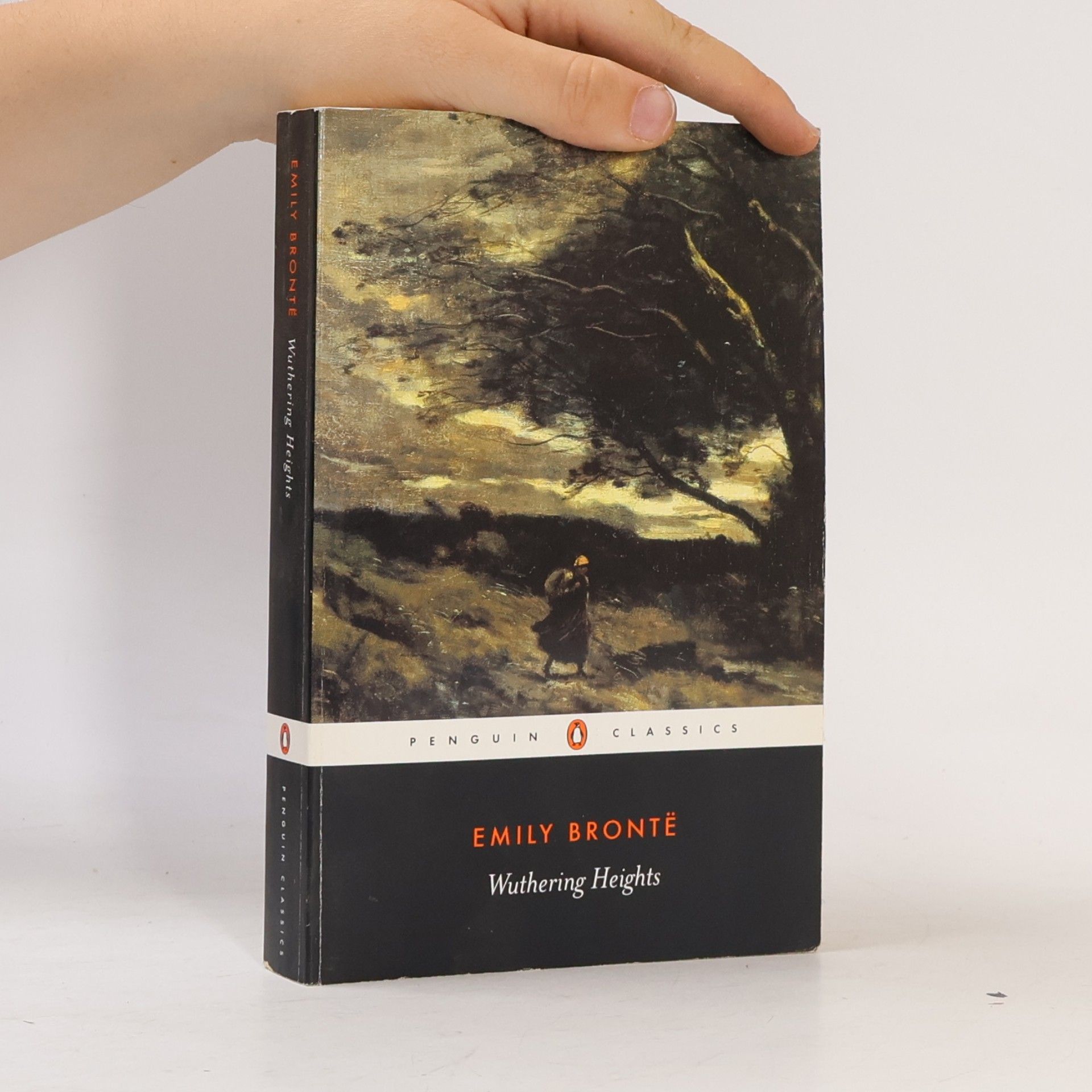 Emily Brontë Wuthering Heights