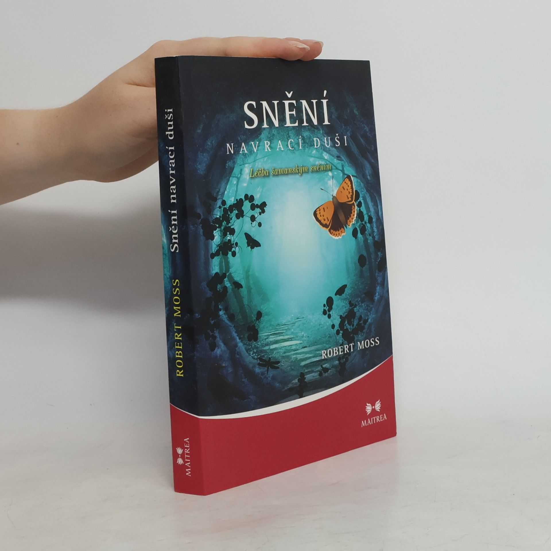 Robert Moss Snění navrací duši. Léčba šamanským sněním