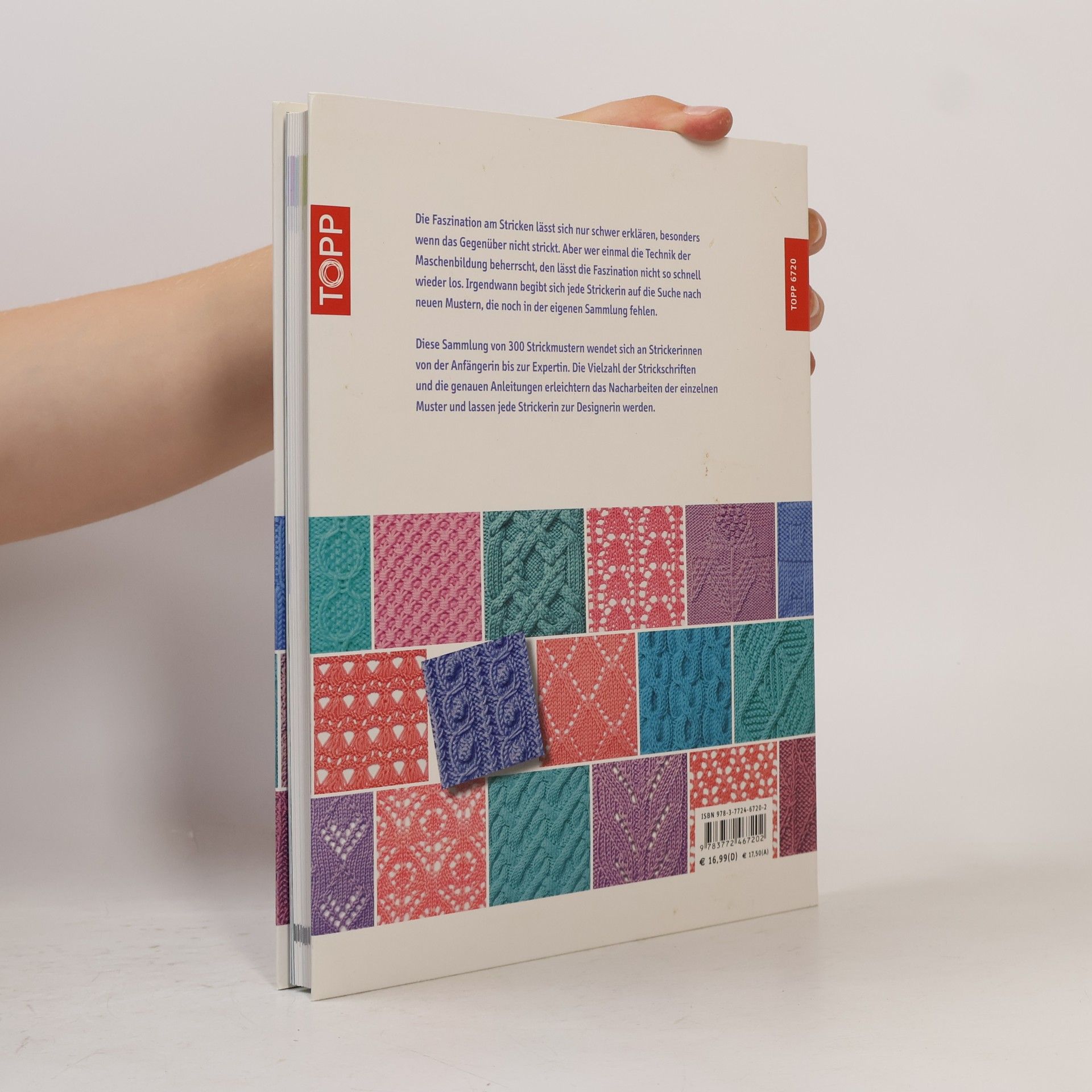 Lesley Stanfield Das große Strickmusterbuch