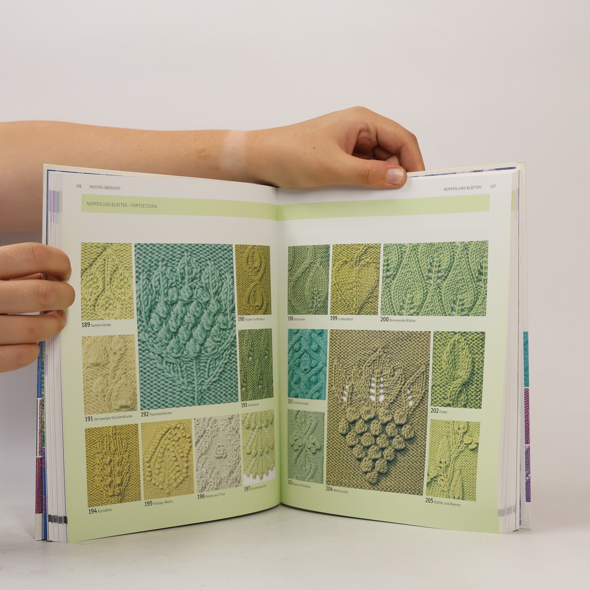 Lesley Stanfield Das große Strickmusterbuch