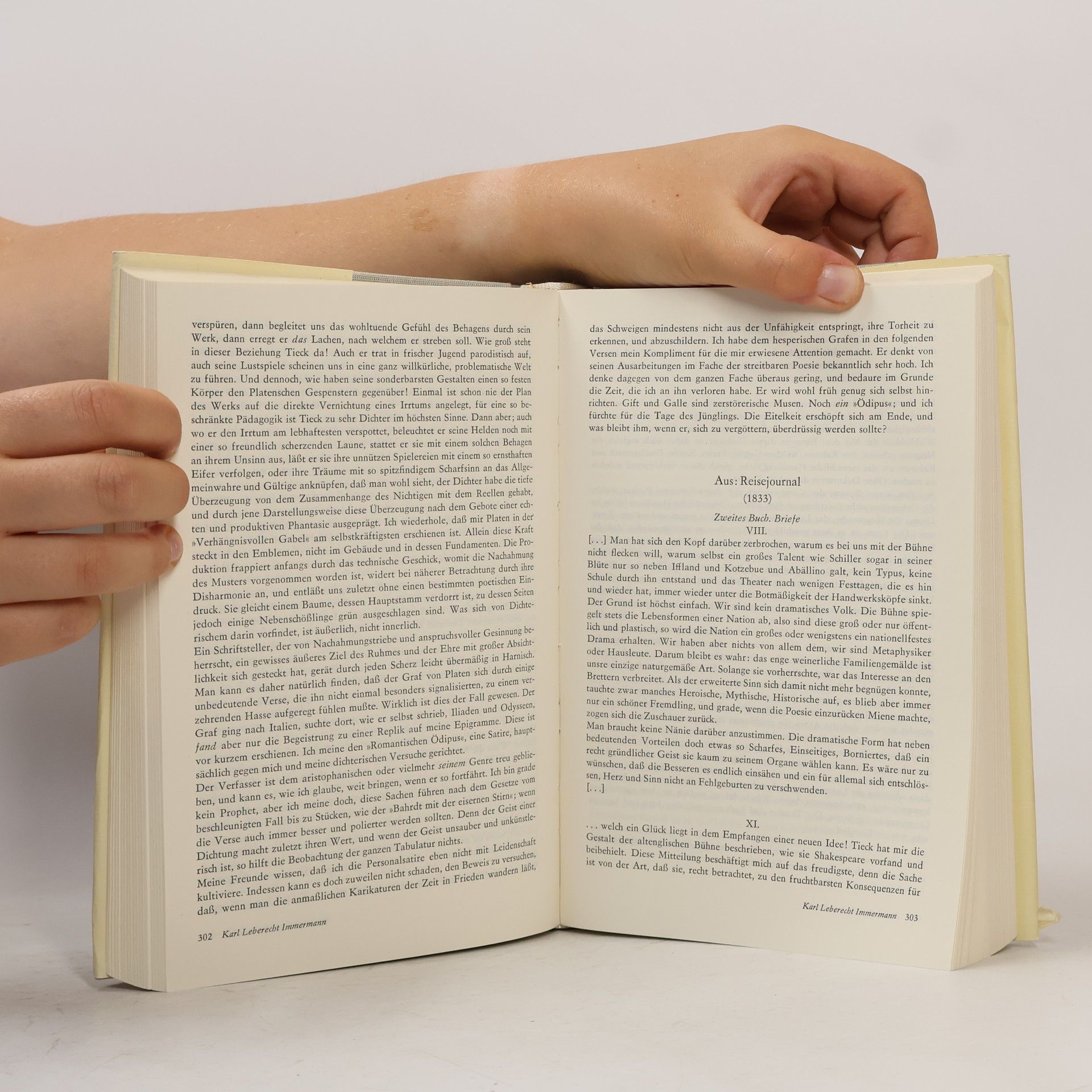 Klaus Hammer Dramaturgische Schriften des 19. Jahrhunderts