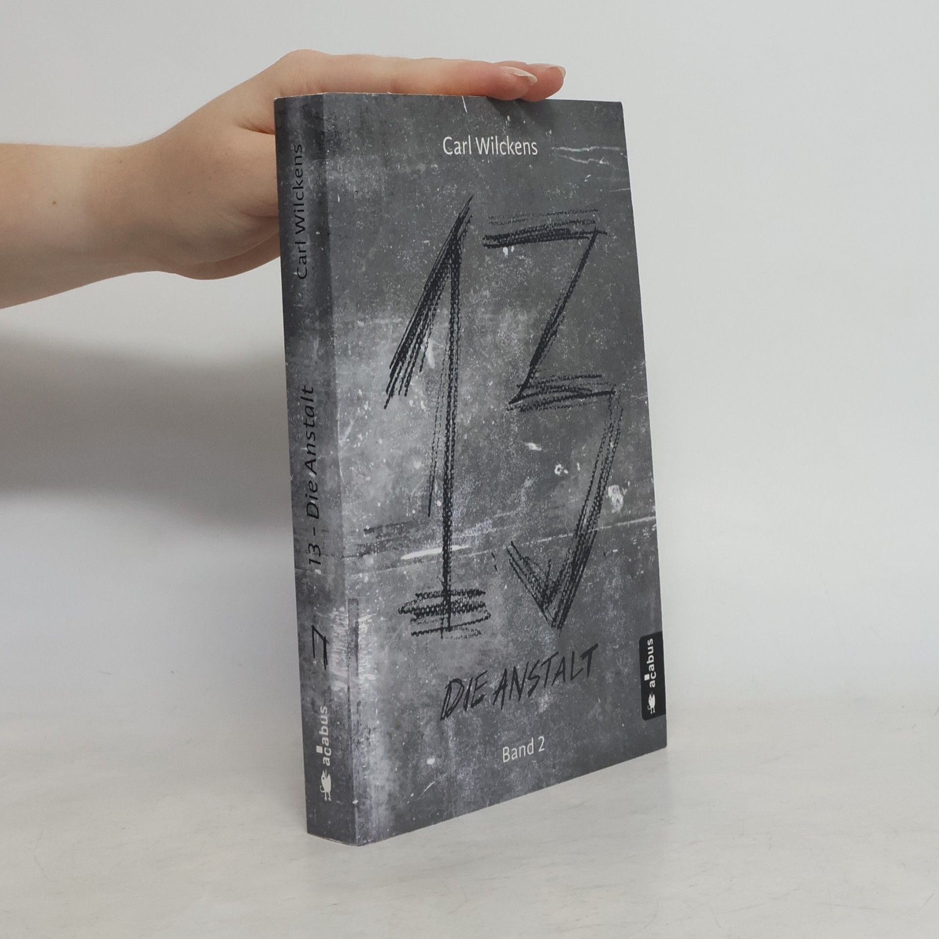 Carl Wilckens Dreizehn. Die Anstalt. Band 2
