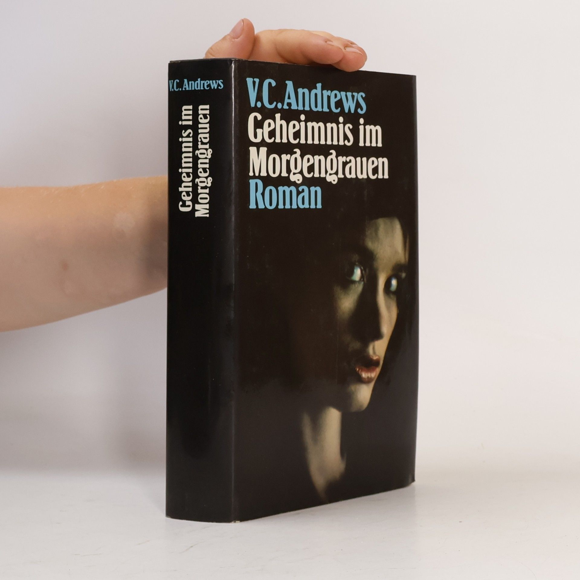V. C. Andrews Geheimnis im Morgengrauen