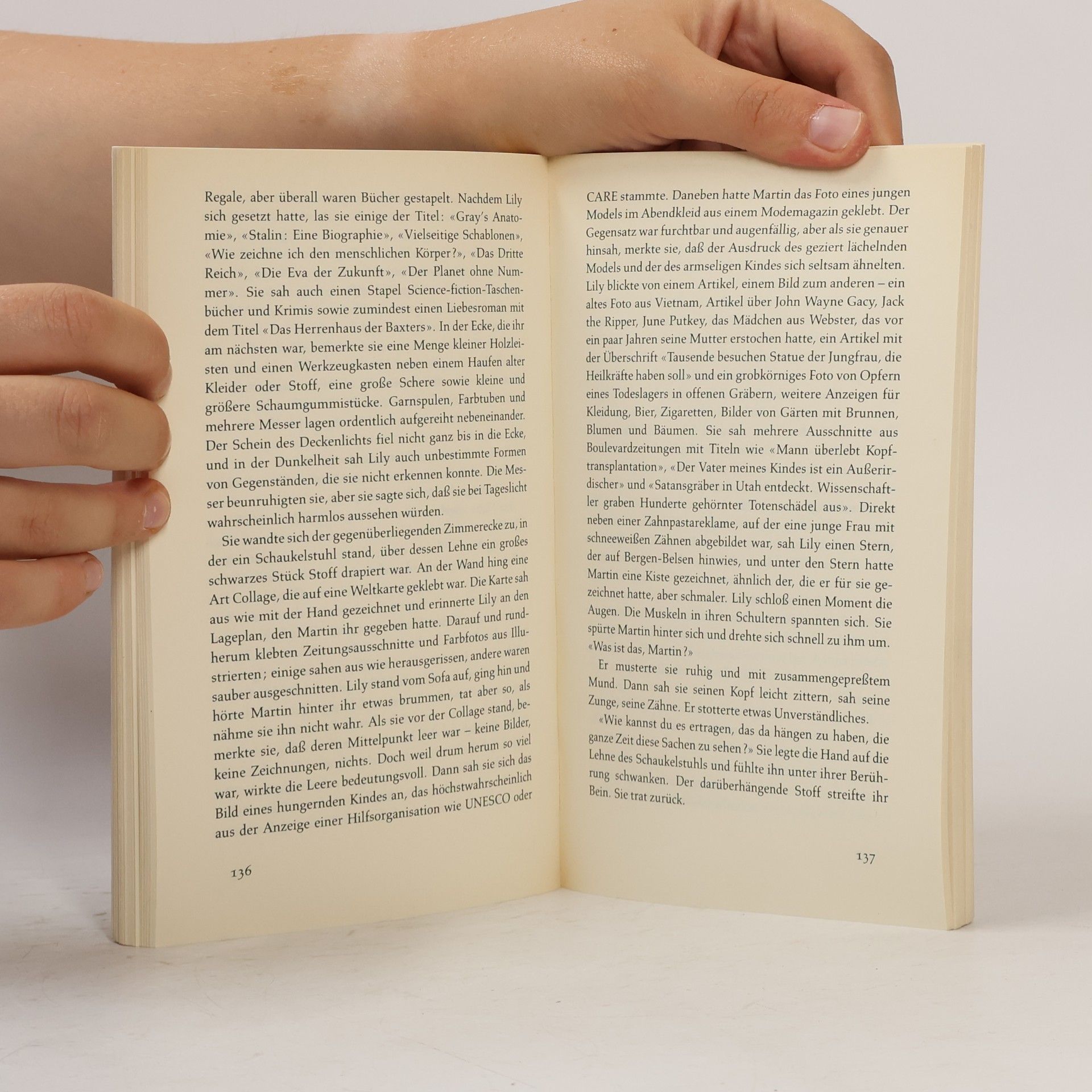 Siri Hustvedt Die Verzauberung der Lily Dahl