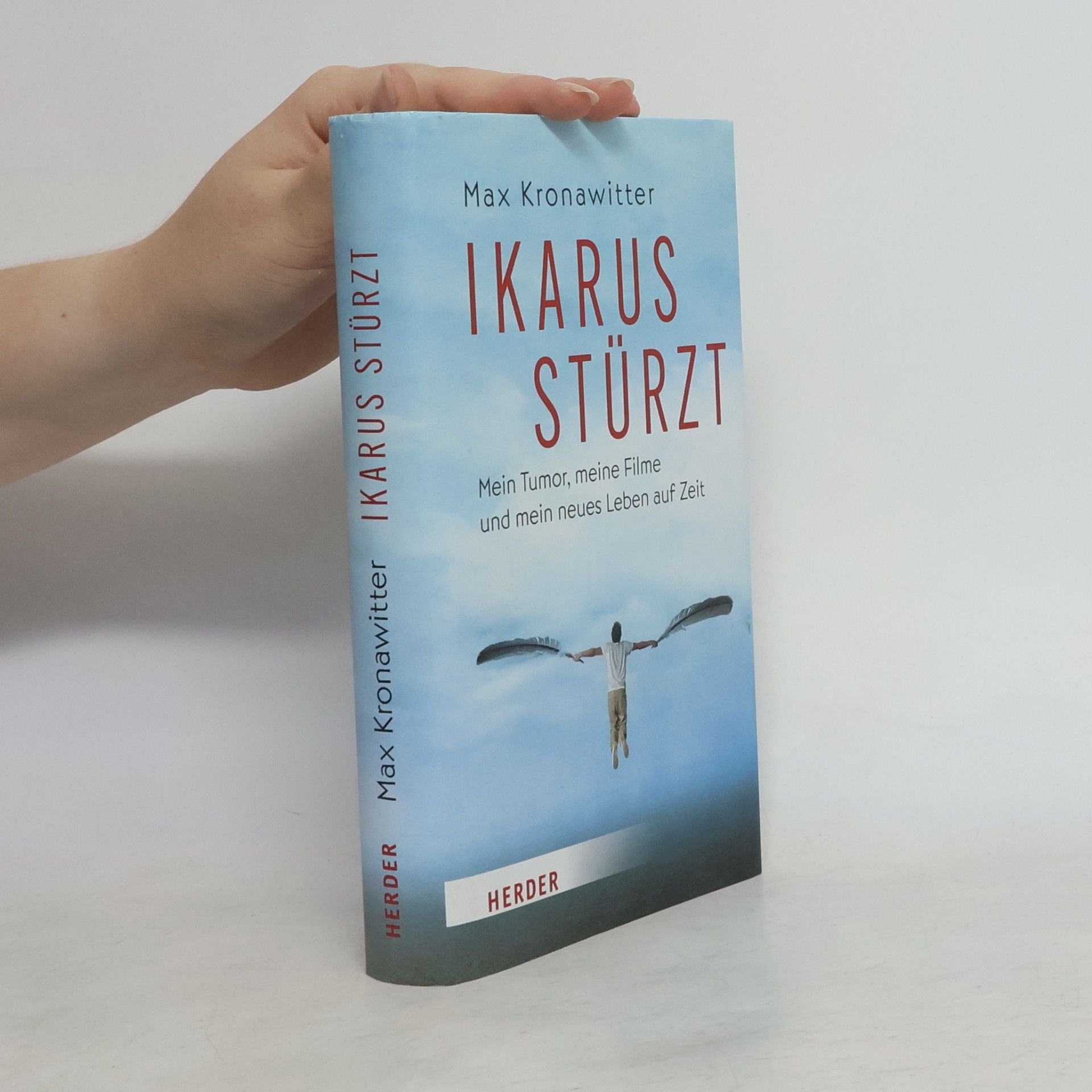 Max Kronawitter Ikarus stürzt