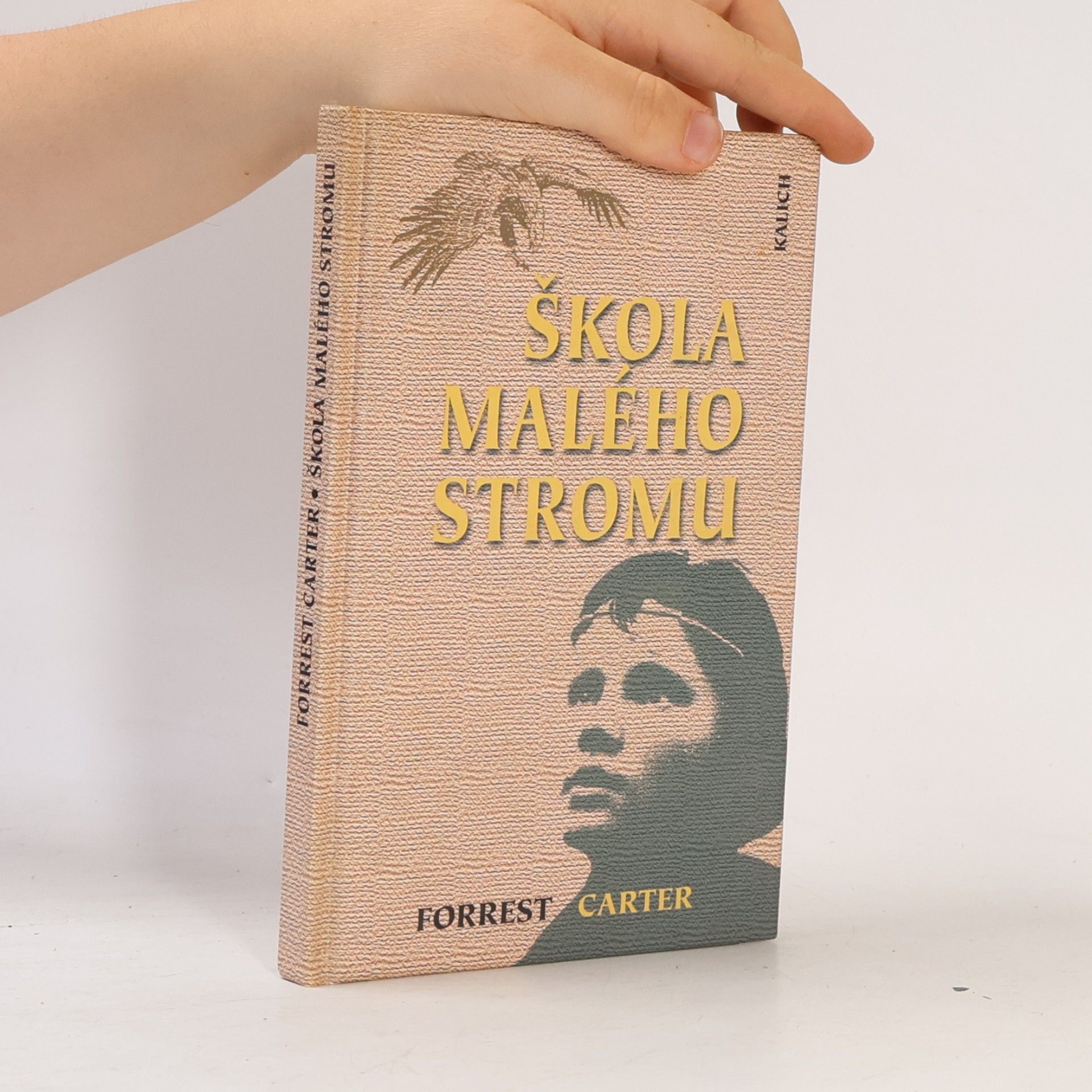 Forrest Carter Škola malého stromu