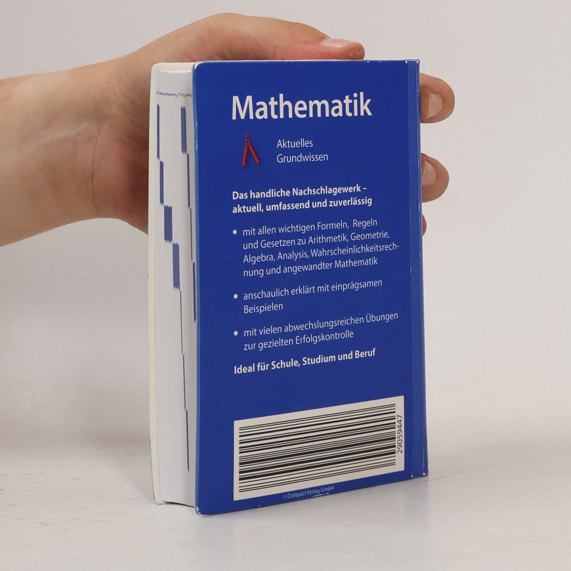 Autores varios Mathematik. Aktuelles Grundwissen