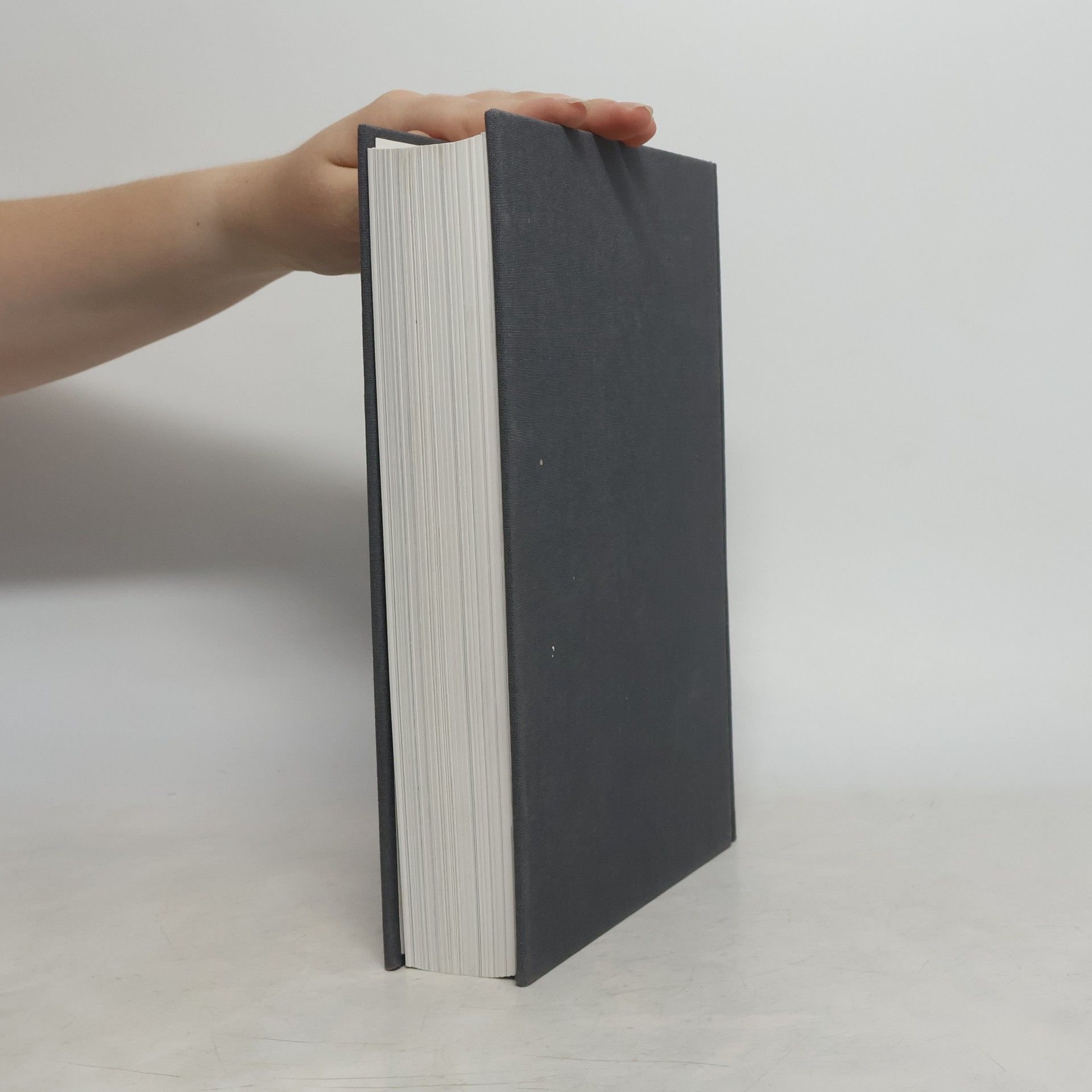 Ernst Gombrich Die Geschichte der Kunst