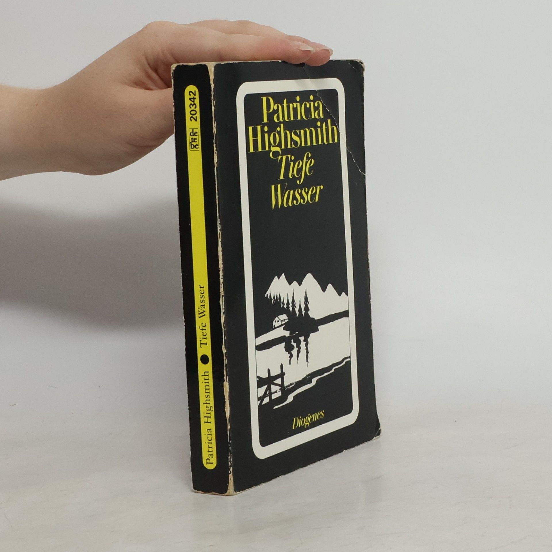 Patricia Highsmith Tiefe Wasser