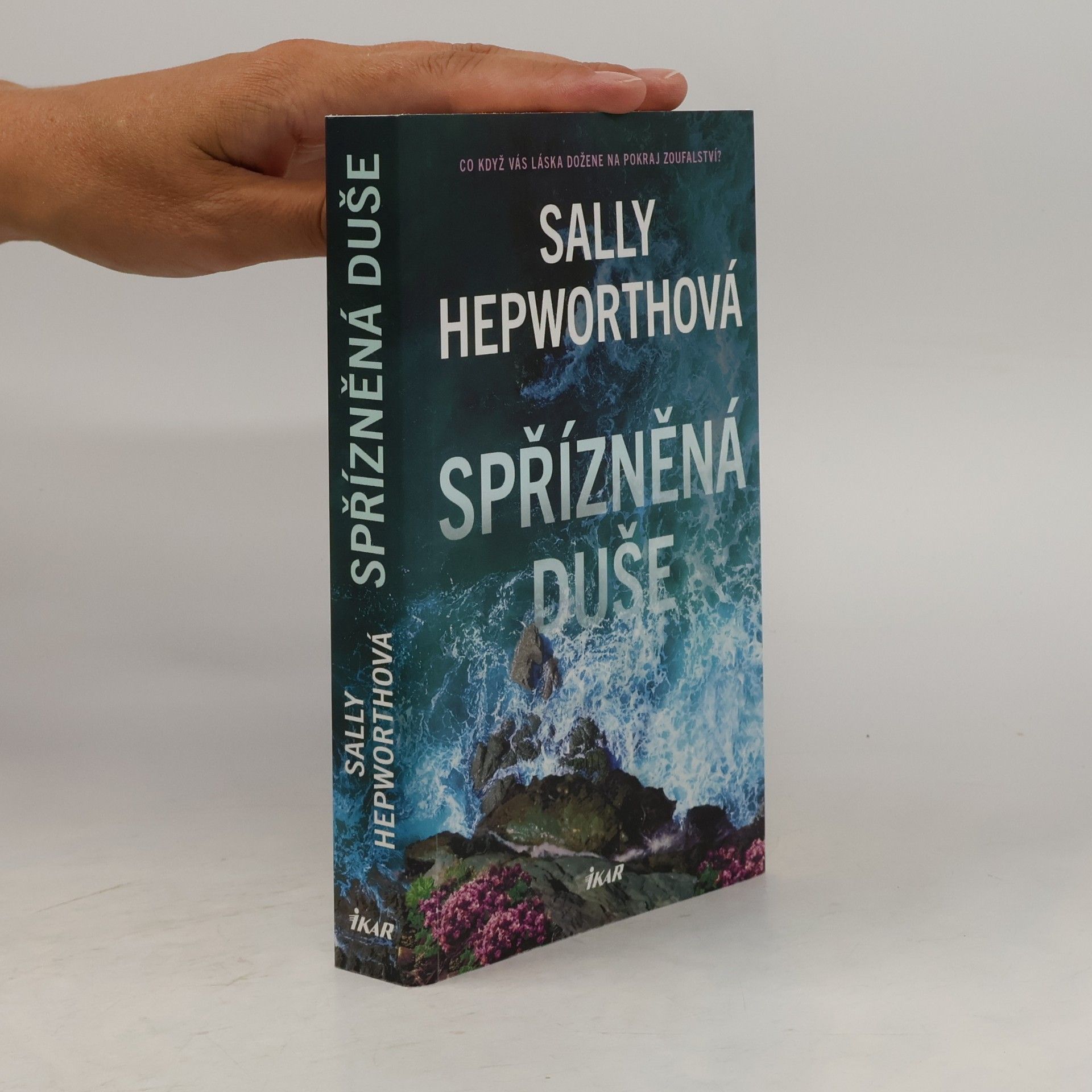 Sally Hepworth Spřízněná duše