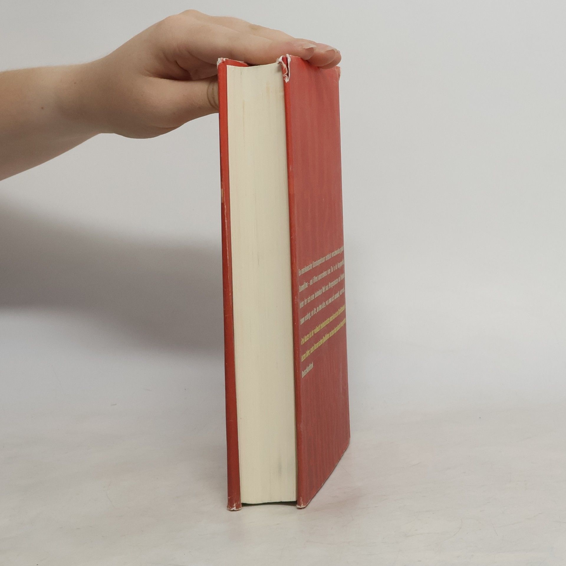 Paul Auster Das Buch der Illusionen
