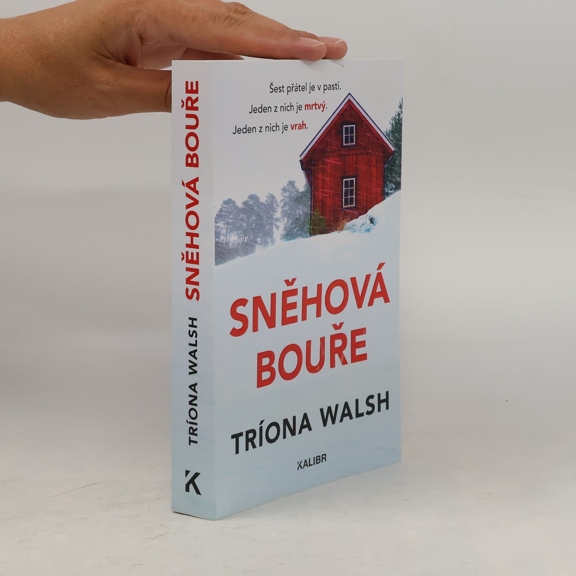 Tríona Walsh Sněhová bouře