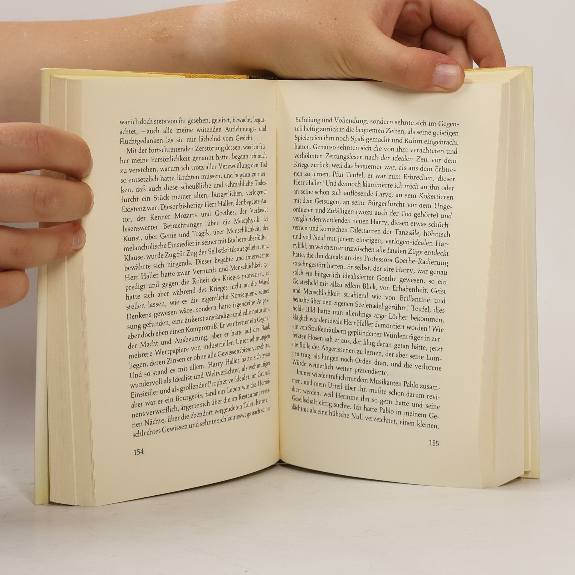 Hermann Hesse Der Steppenwolf