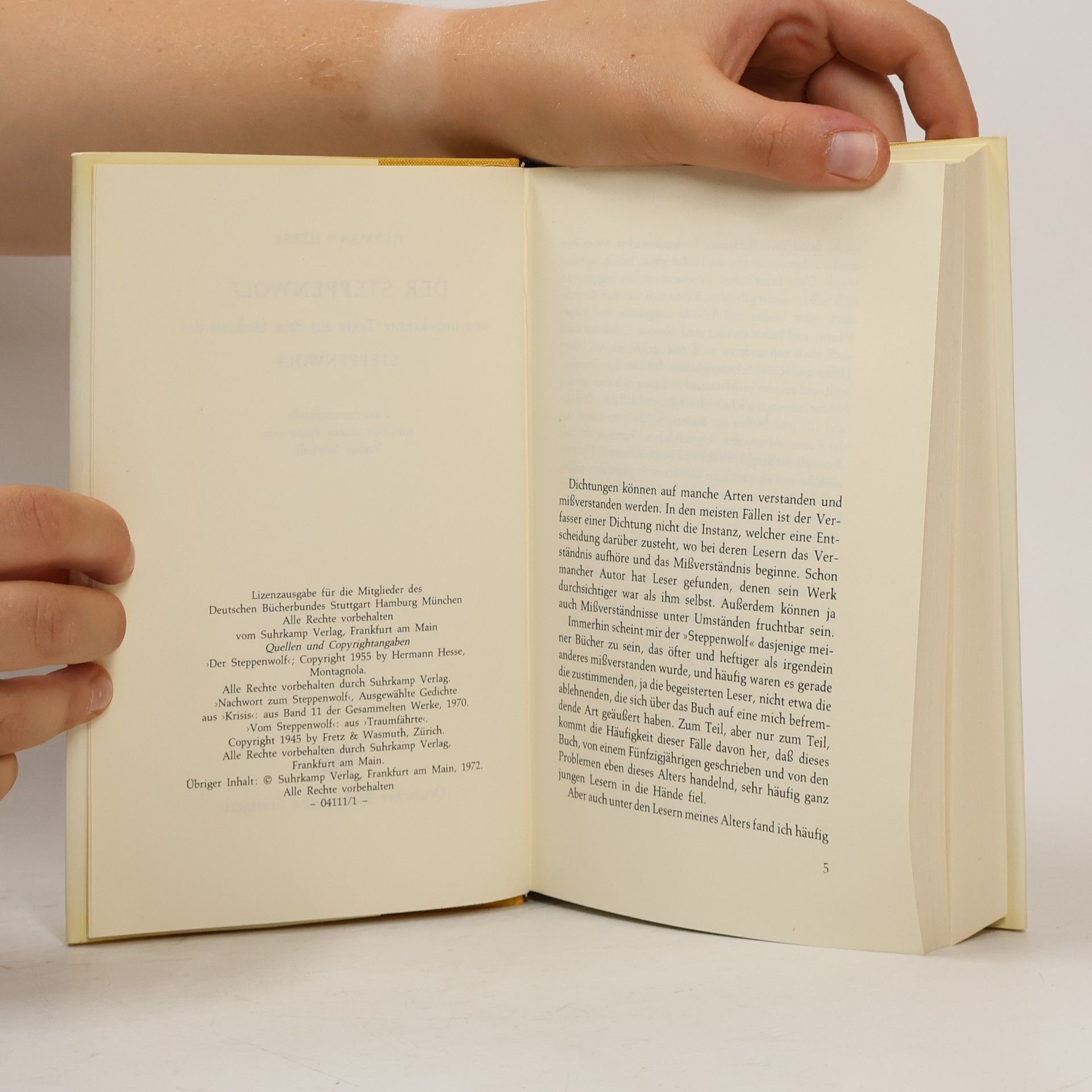 Hermann Hesse Der Steppenwolf