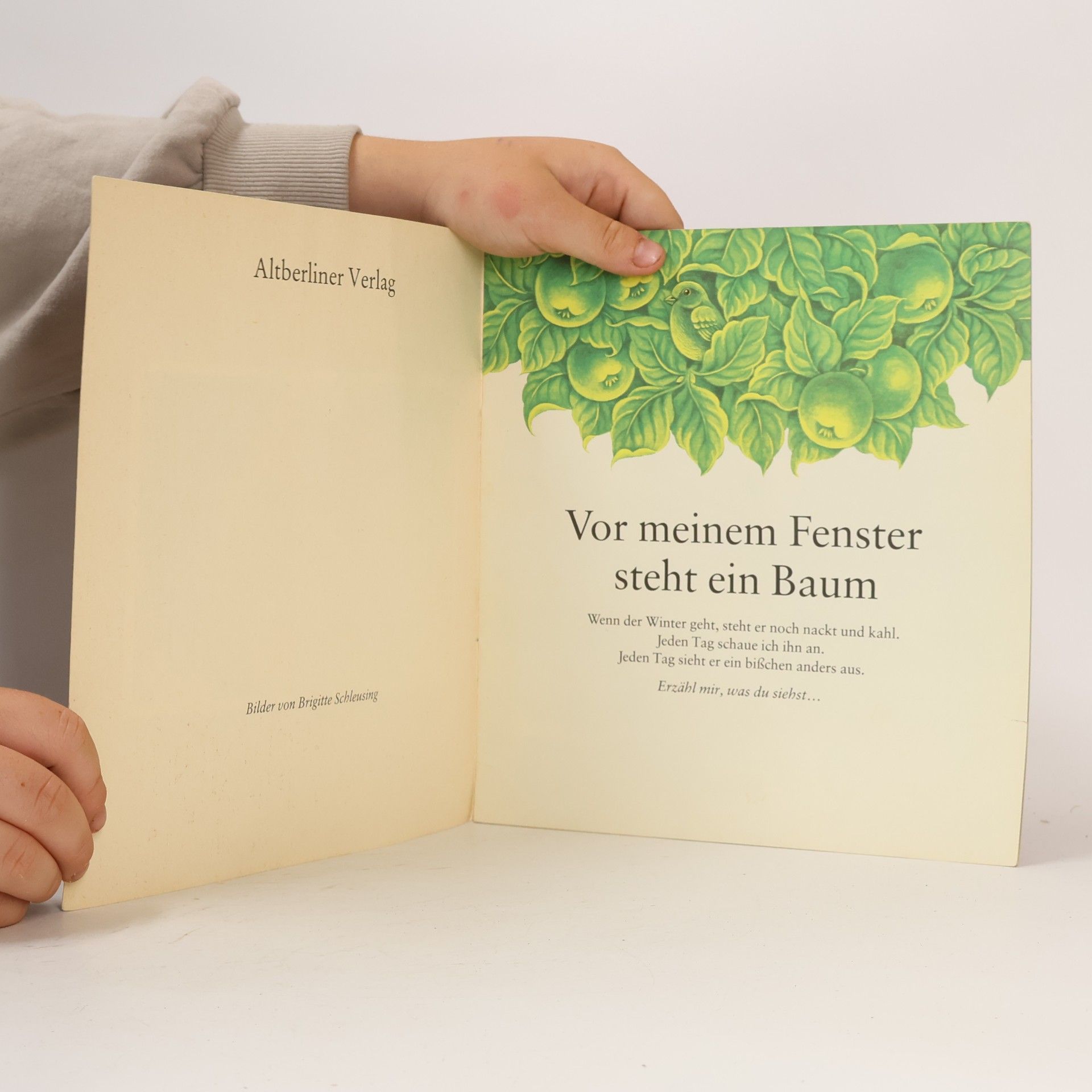 Autorenkollektiv Vor meinem Fenster steht ein Baum