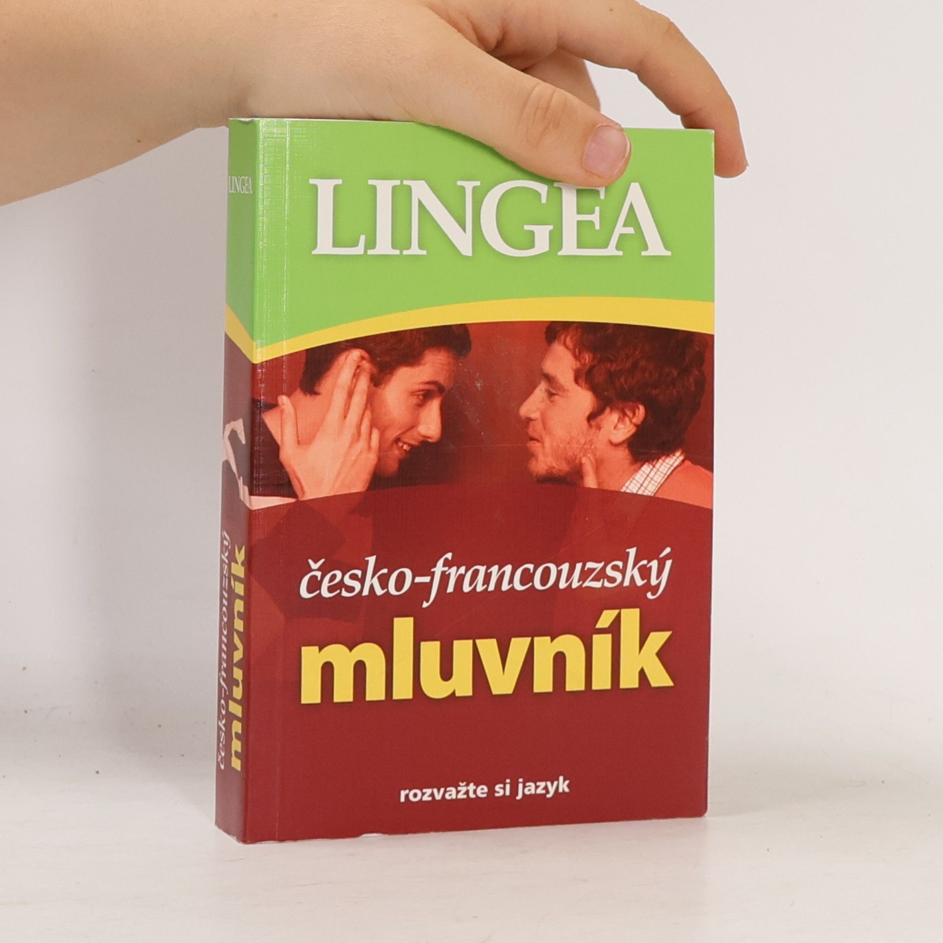 Collectif d'auteurs Česko-francouzský mluvník