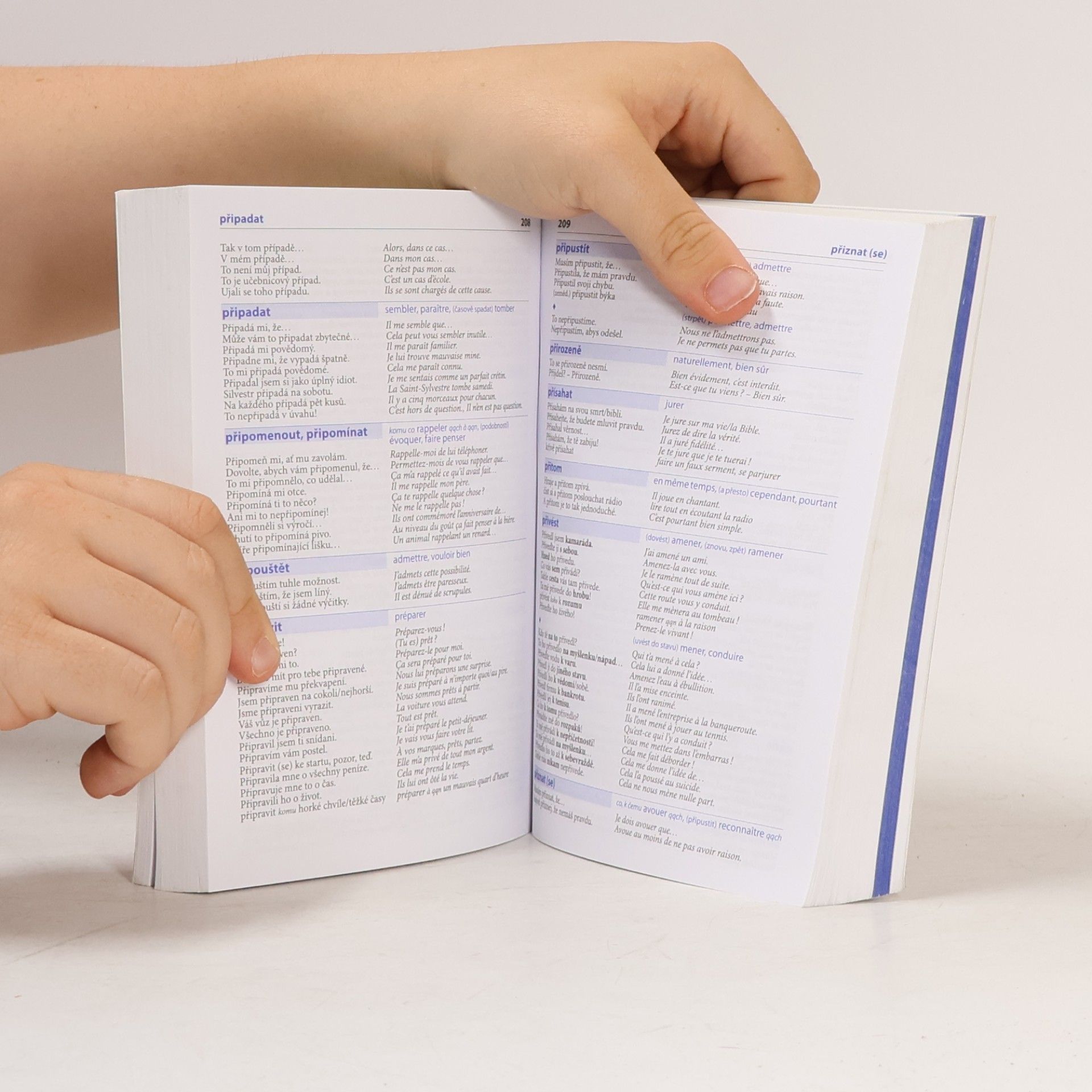 Various authors Česko-francouzský mluvník