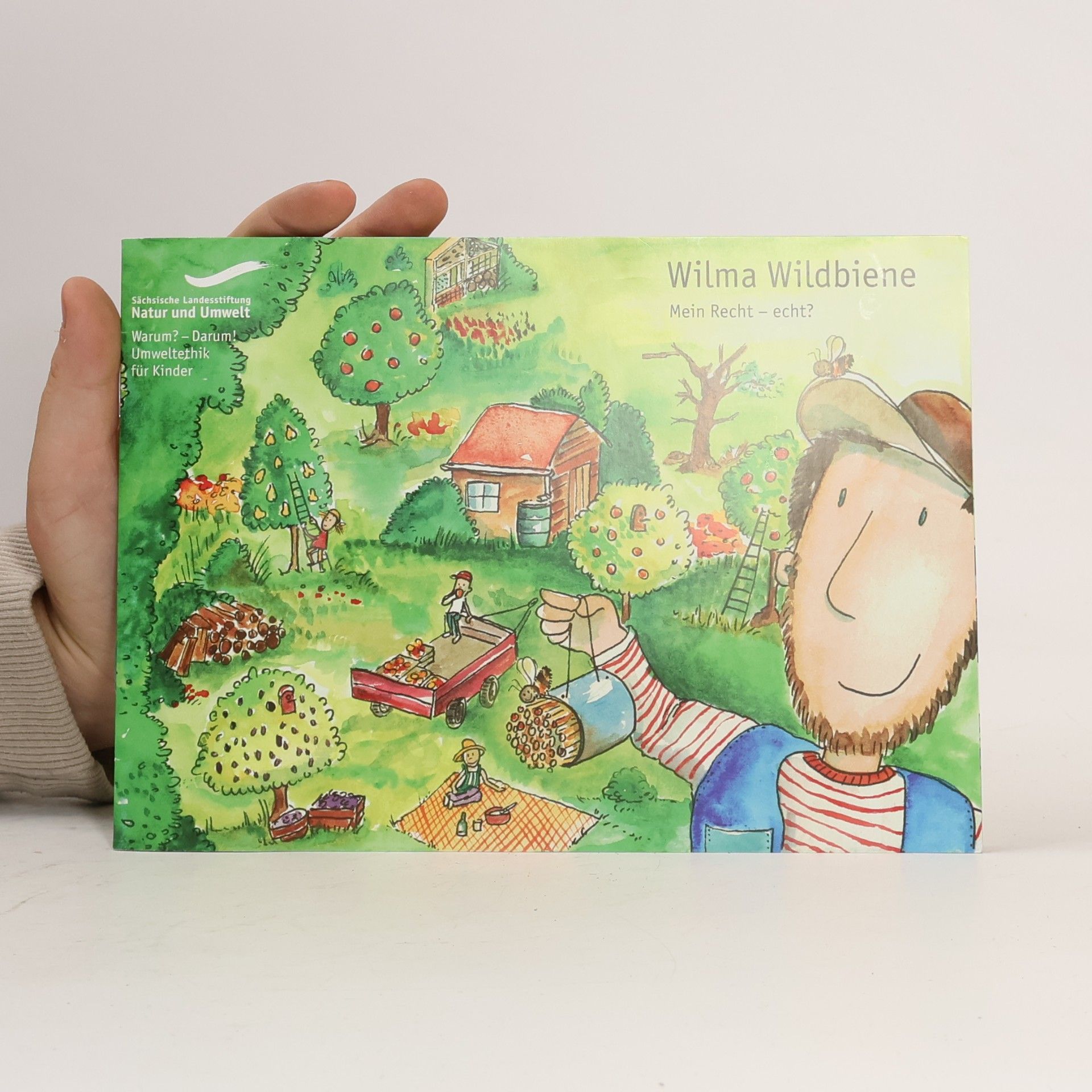 Autorenkollektiv Wilma Wildbiene. Mein Recht – echt?