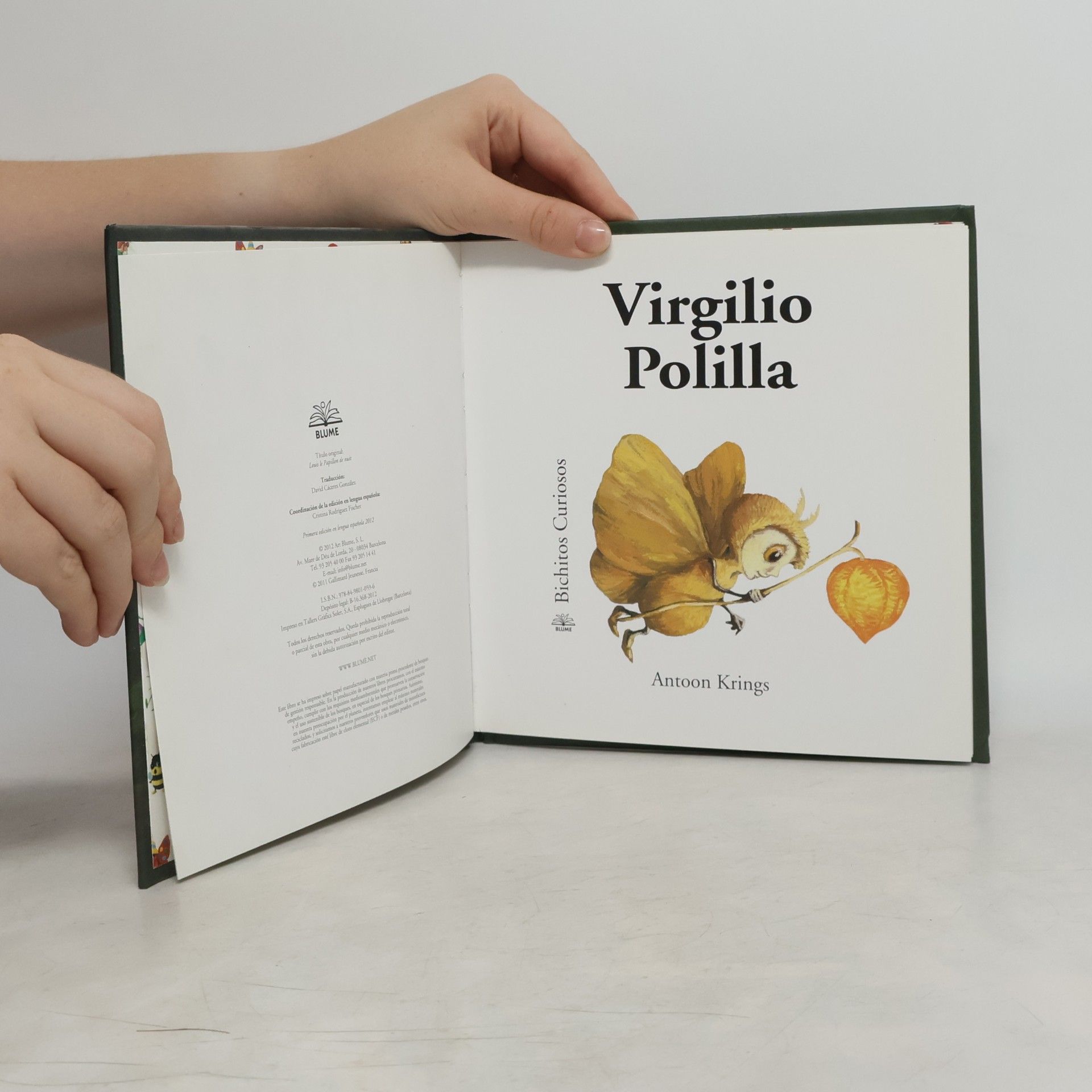 Antoon Krings Bichitos curiosos - 41: Virgilio Polilla