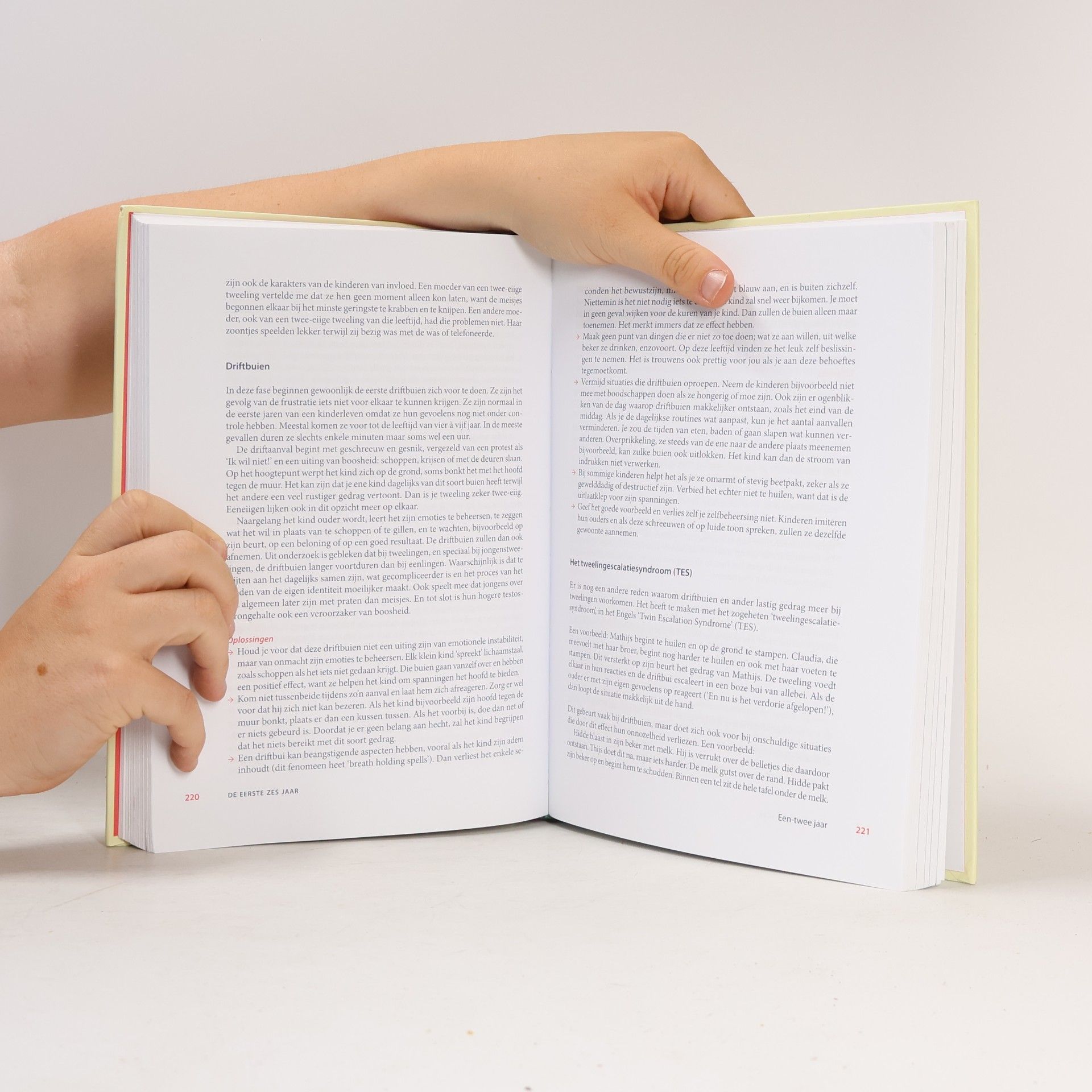 Coks Feenstra Het grote tweelingenboek
