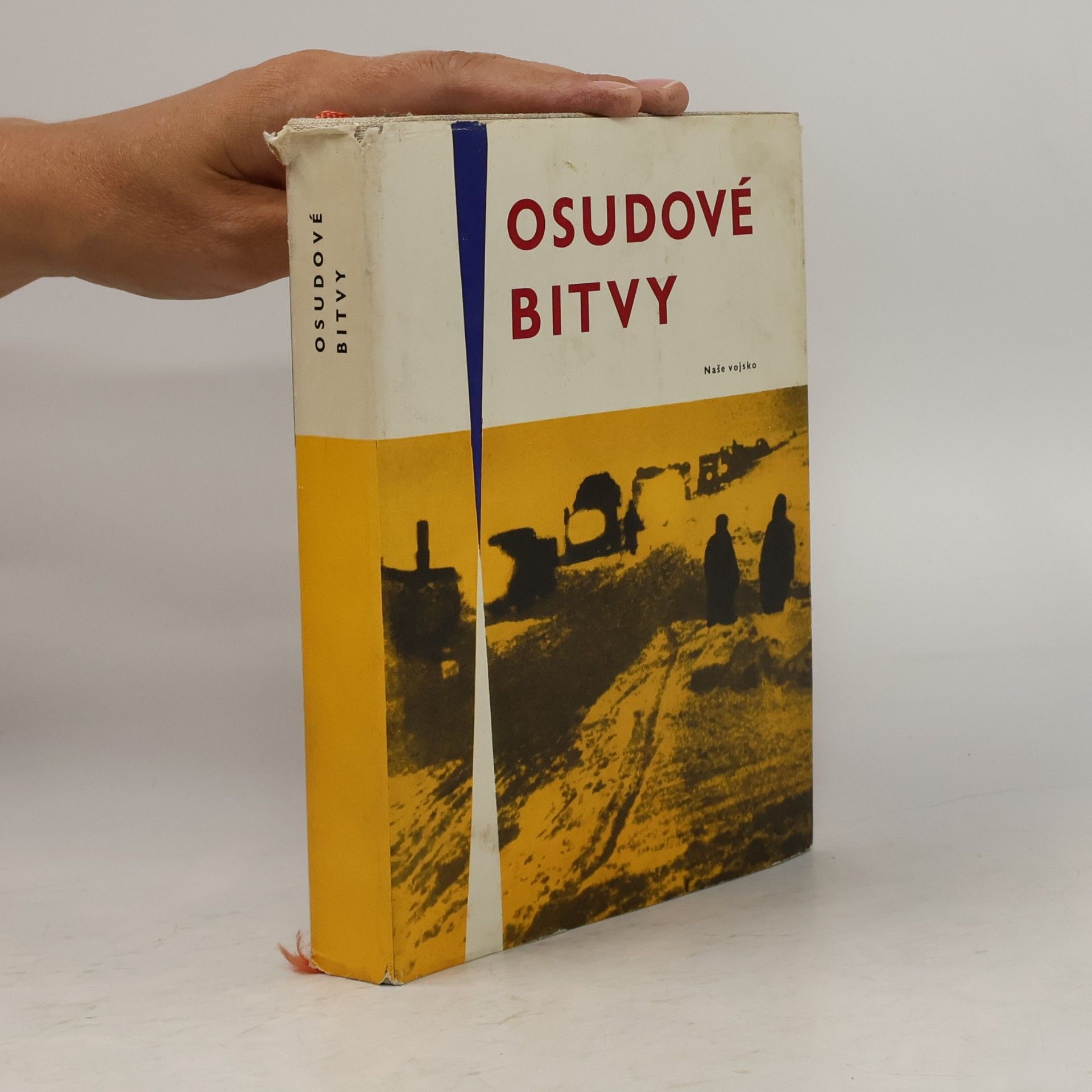 Kolektiv autorů Osudové bitvy