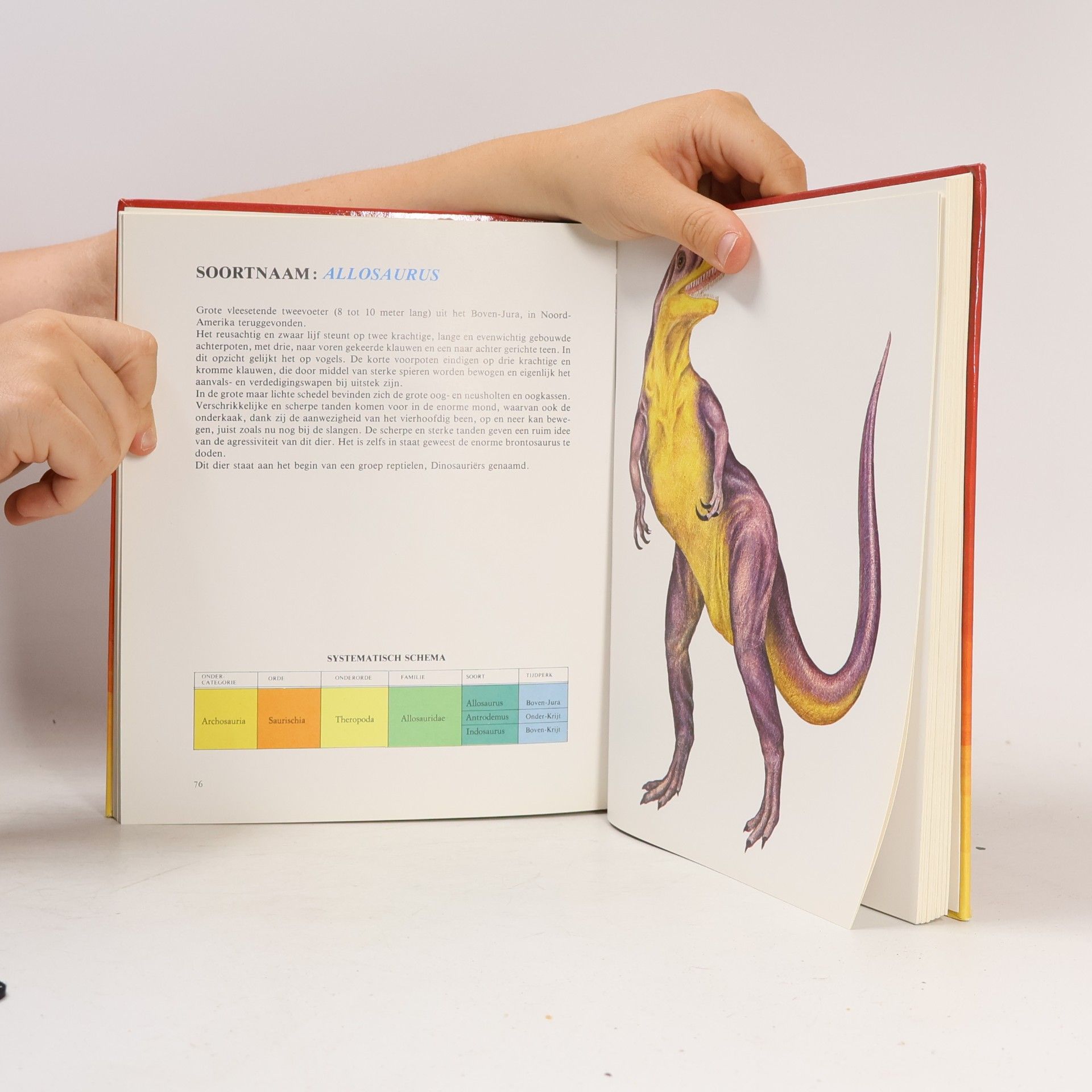 P. Da Rio Grote atlas van de fossielen