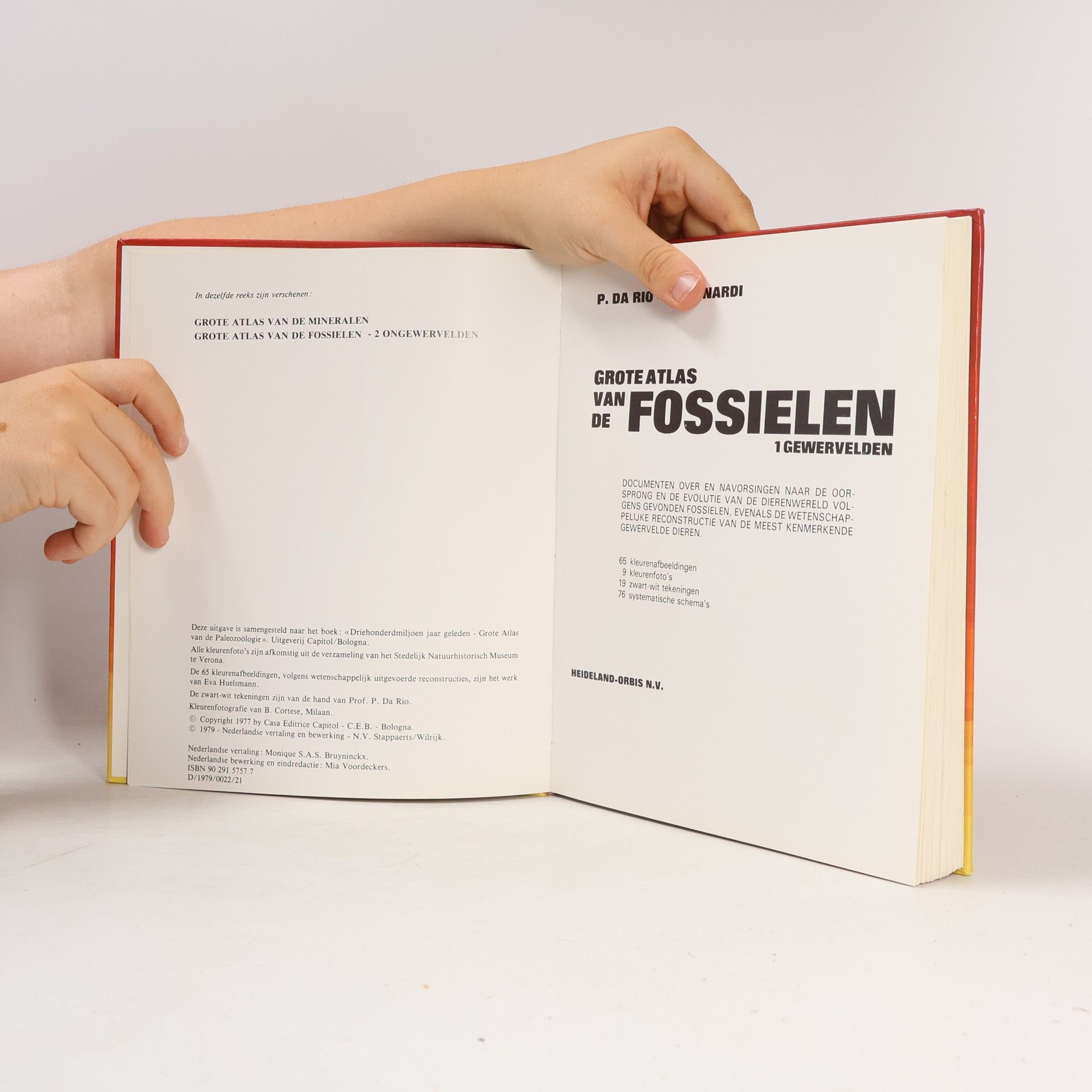 P. Da Rio Grote atlas van de fossielen