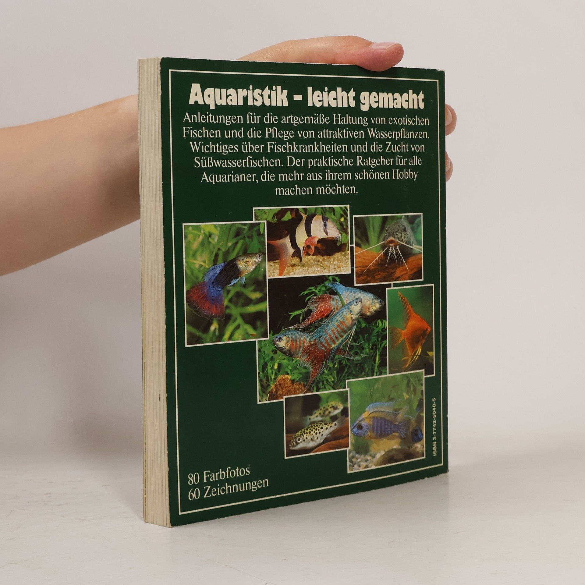 Ines Scheurmann Das GU-Aquarienbuch