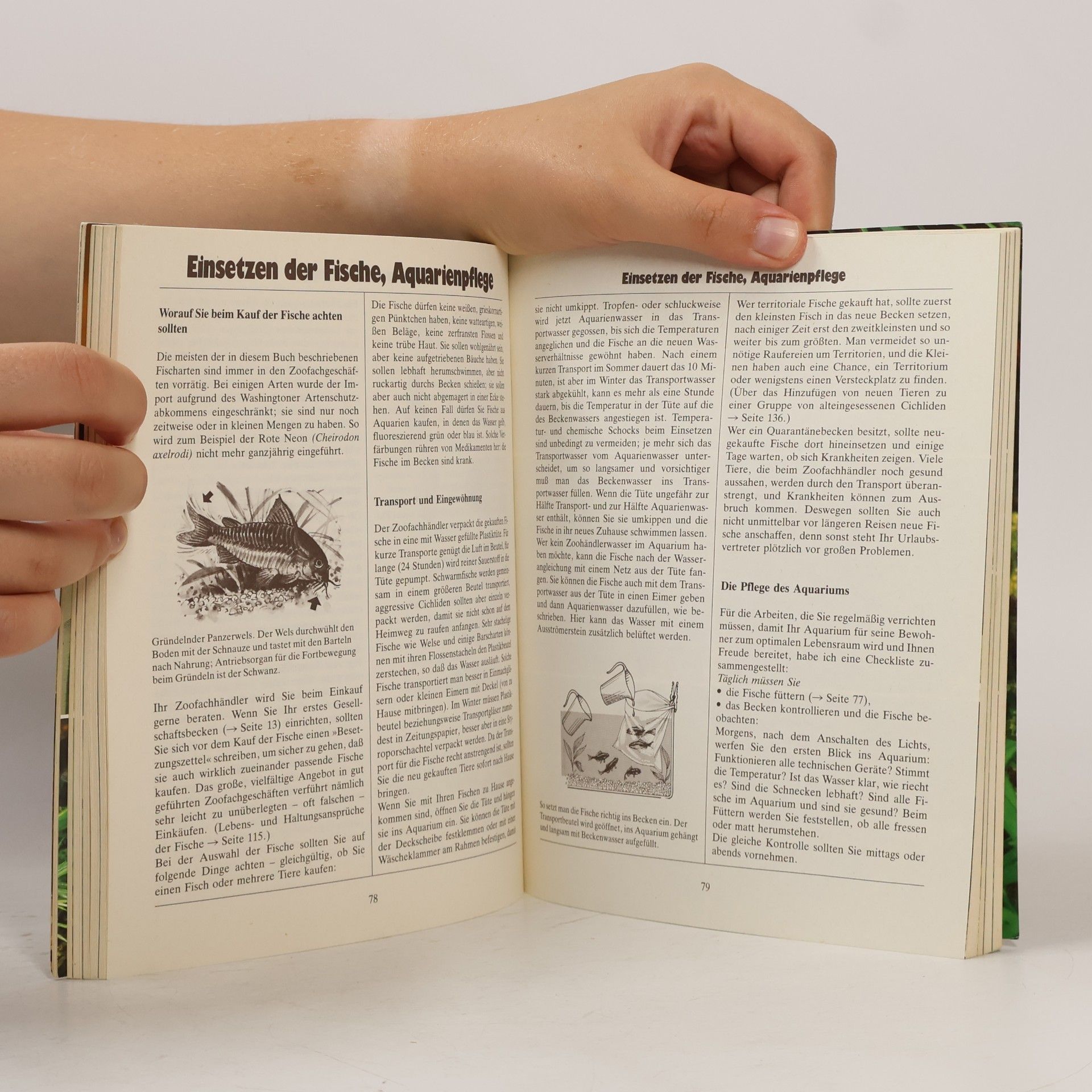 Ines Scheurmann Das GU-Aquarienbuch