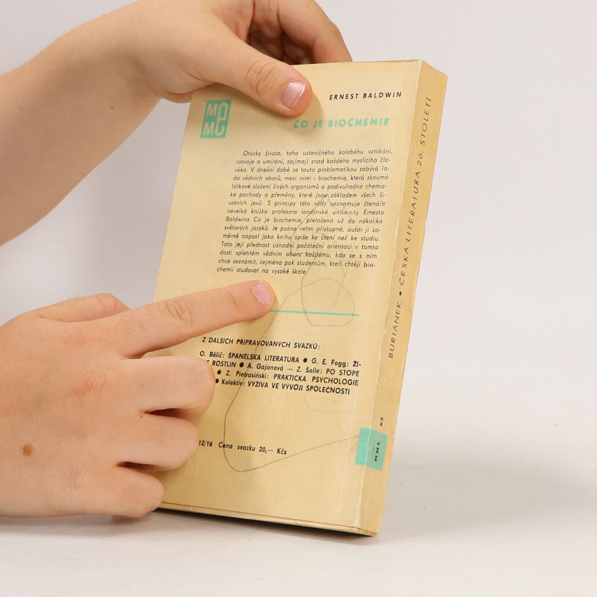 František Buriánek Česká literatura 20. století. Malá moderní encyklopedie