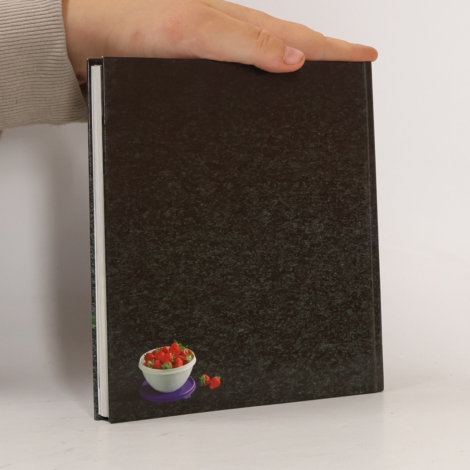 Olli Leeb Praktische Tupperware Rezepte
