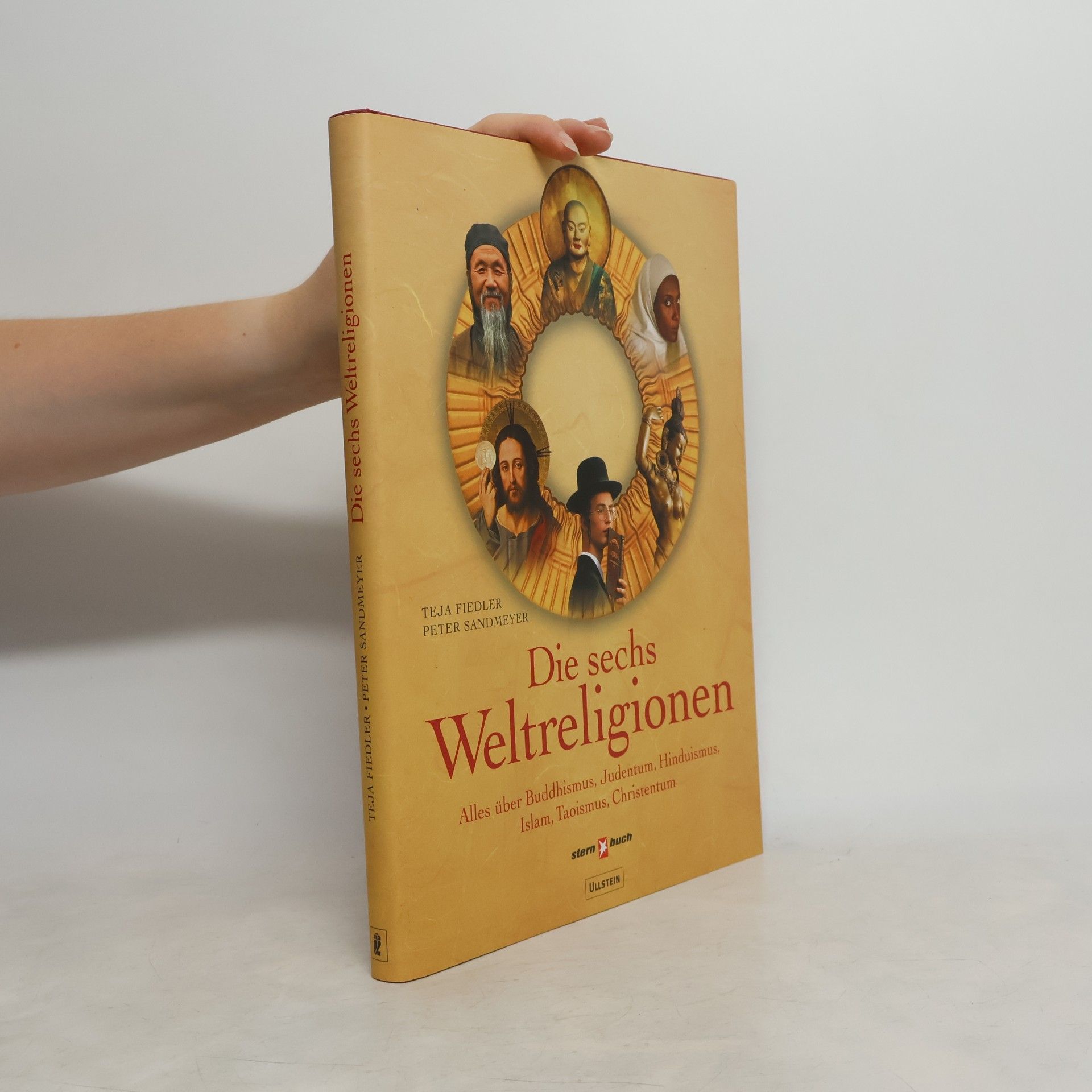 Teja Fiedler Die sechs Weltreligionen: alles über Buddhismus, Judentum, Hinduismus, Islam, Taoismus, Christentum