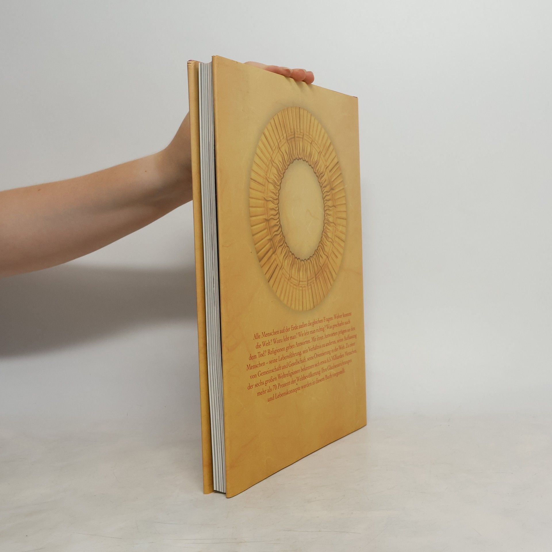 Teja Fiedler Die sechs Weltreligionen: alles über Buddhismus, Judentum, Hinduismus, Islam, Taoismus, Christentum