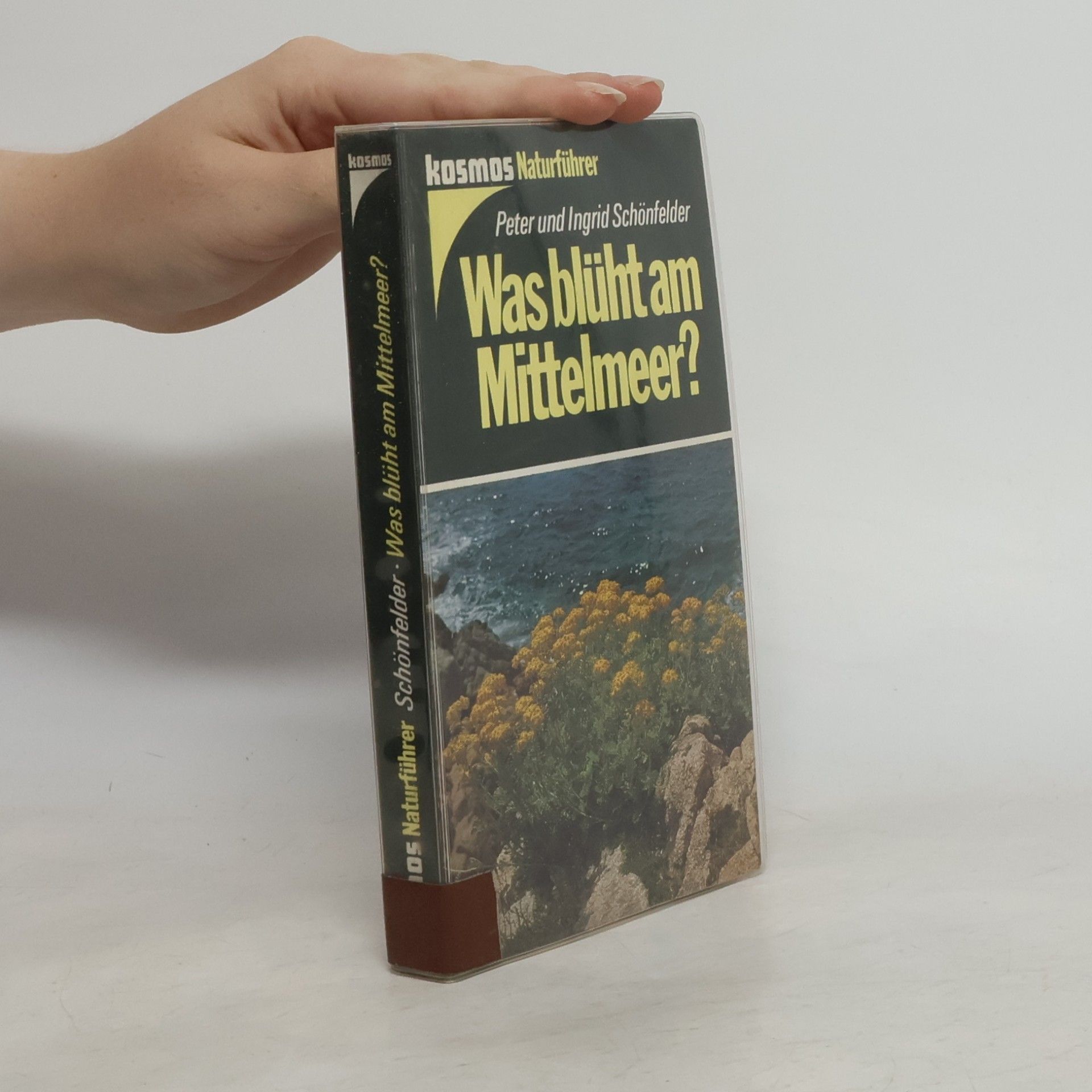 Peter Schönfelder Was blüht am Mittelmeer?