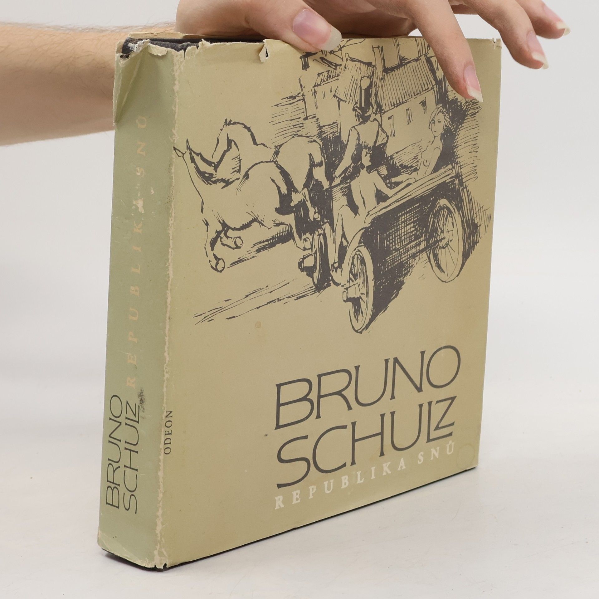 Bruno Schulz Republika snů