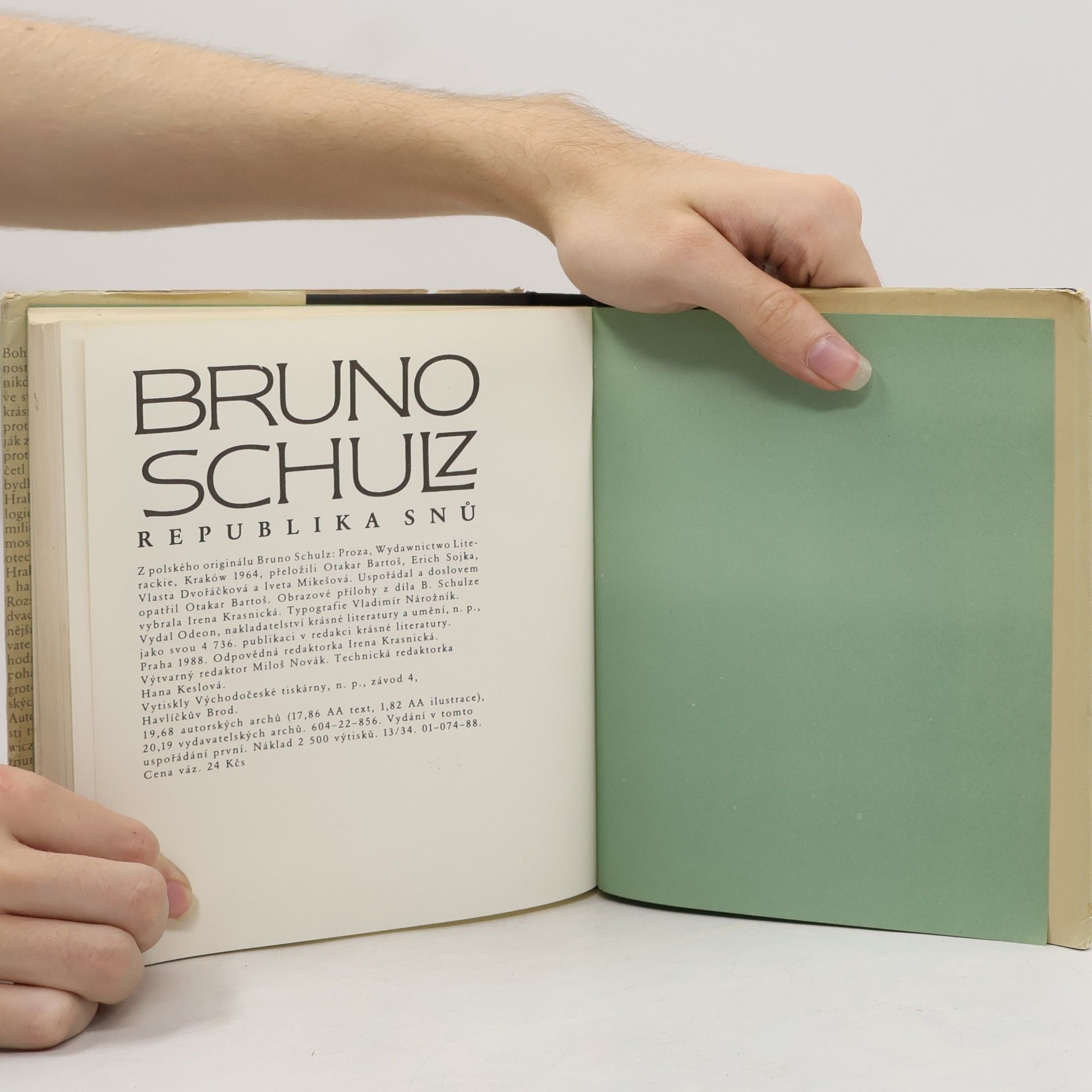 Bruno Schulz Republika snů