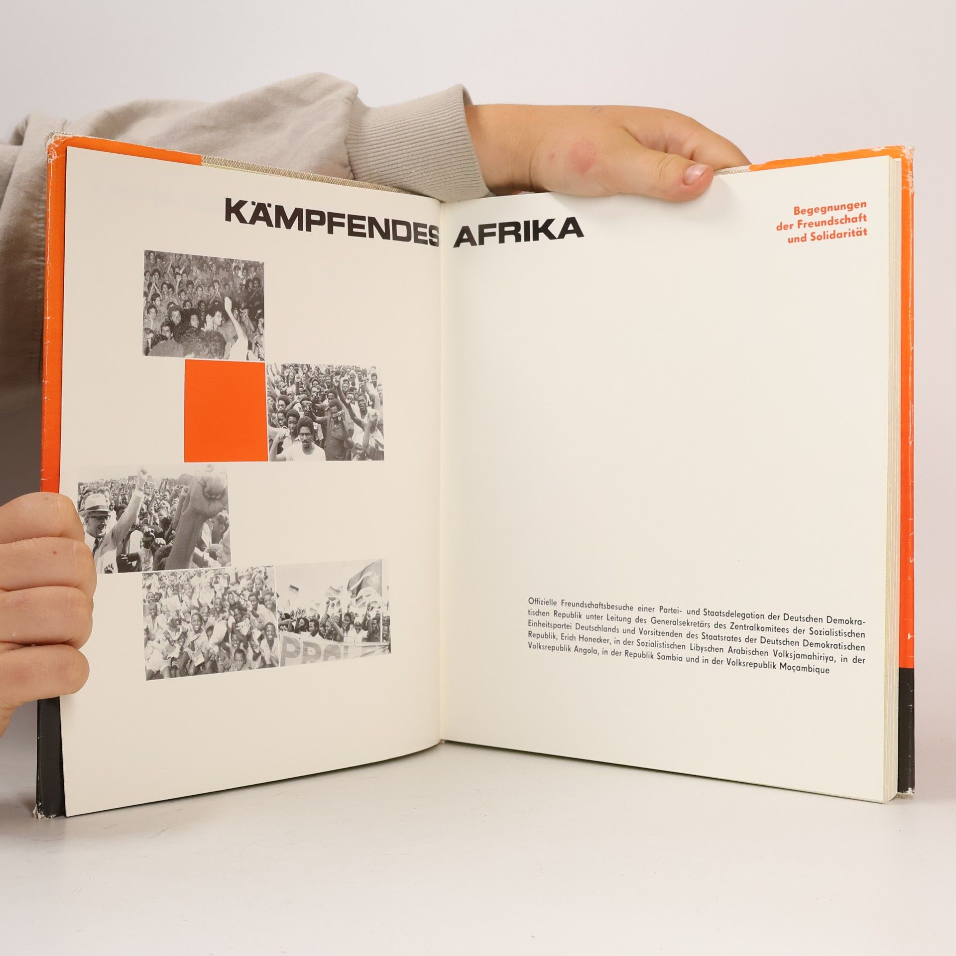 Wolfgang Meyer Kämpfendes Afrika
