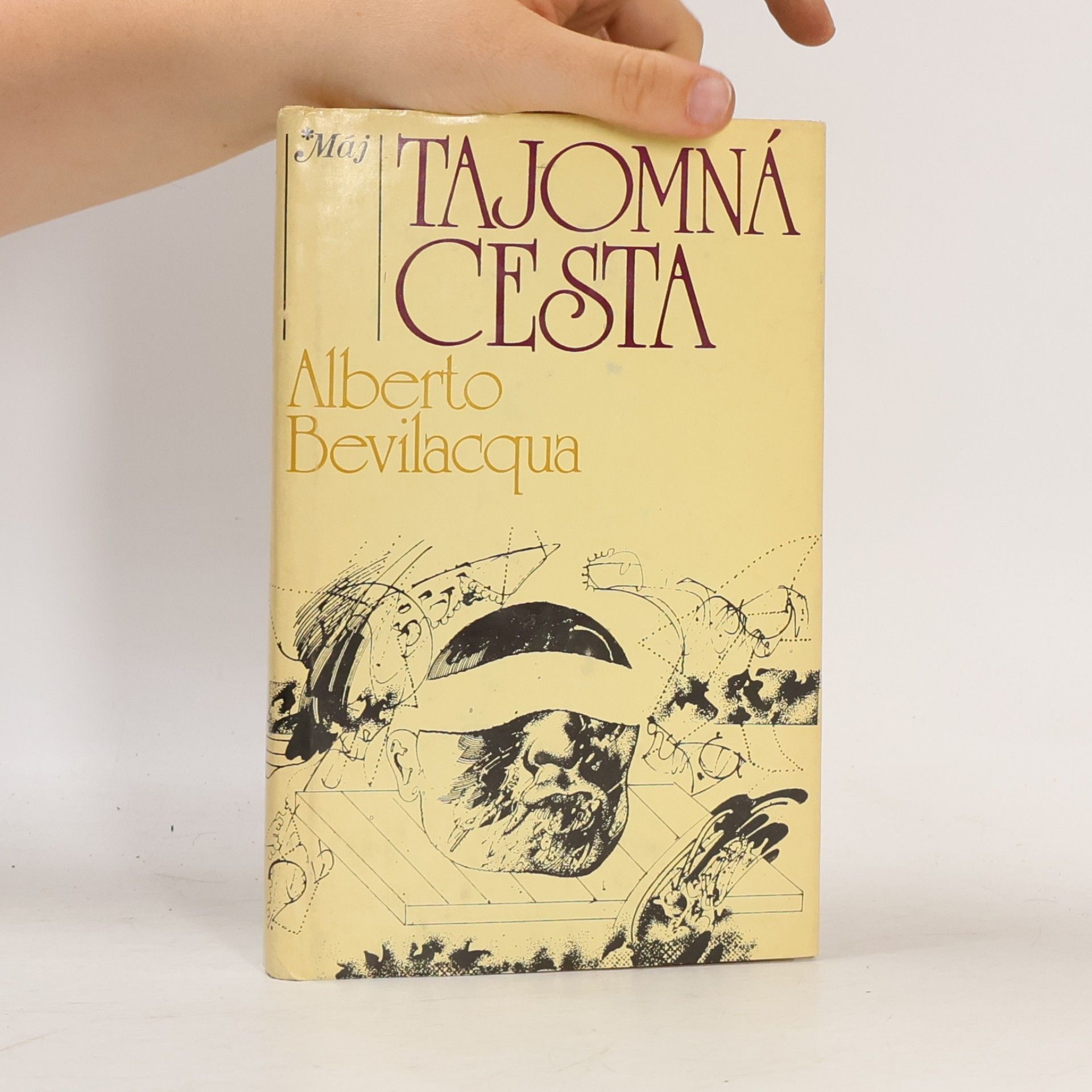 Alberto Bevilacqua Tajomná cesta
