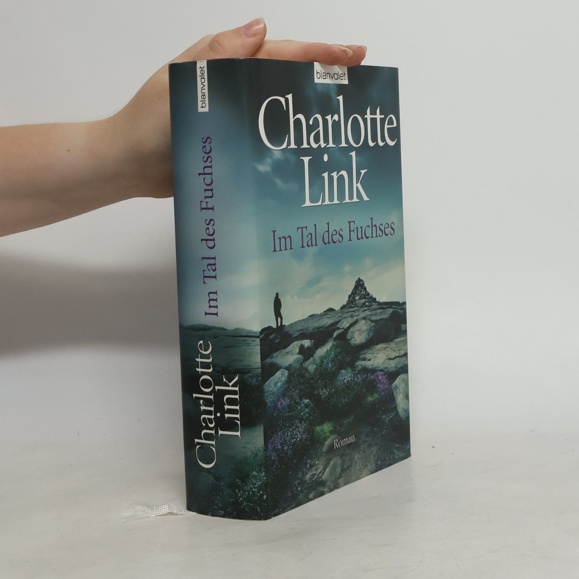 Charlotte Link Im Tal des Fuchses