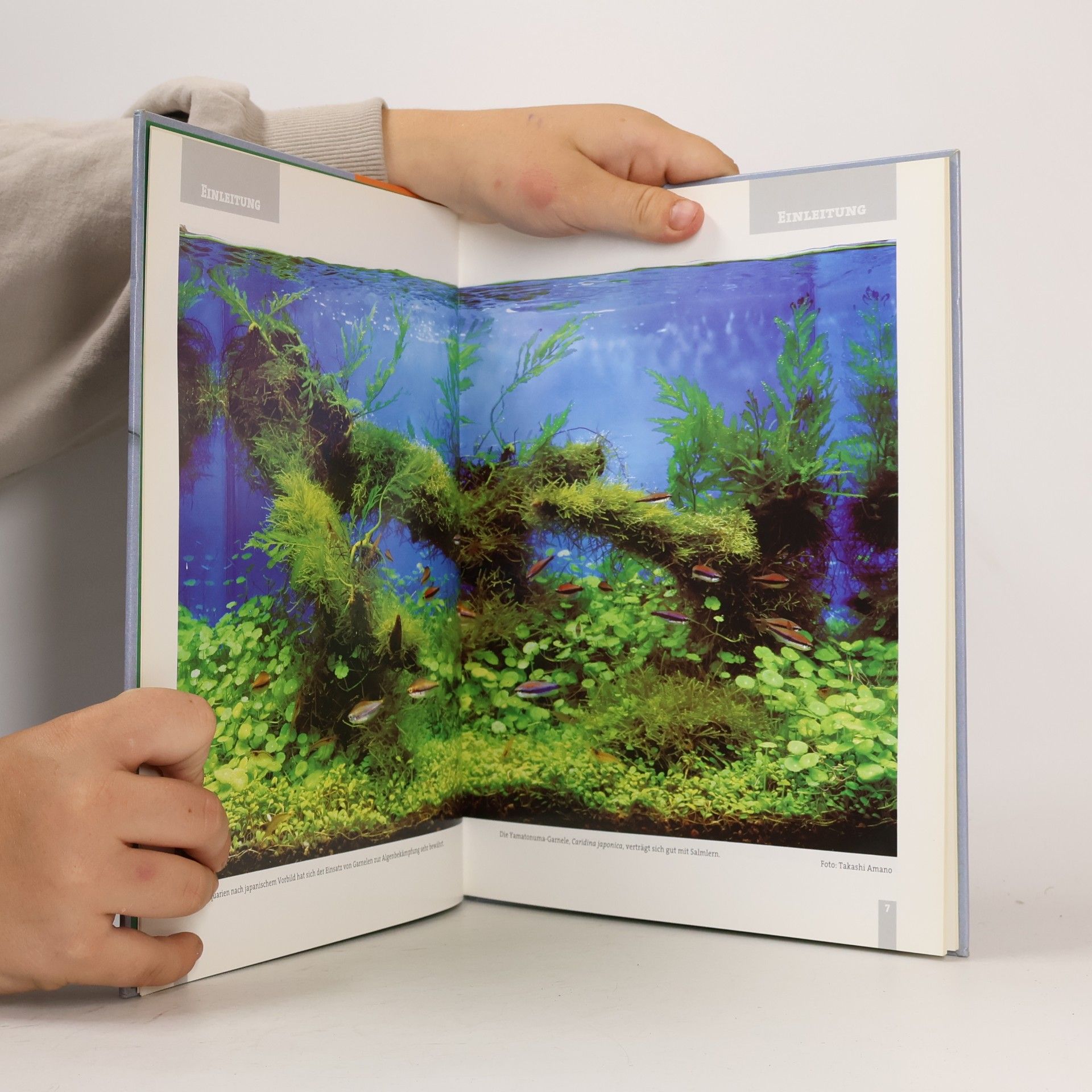 Hans Gonella Krebse, Krabben und Garnelen im Süßwasseraquarium