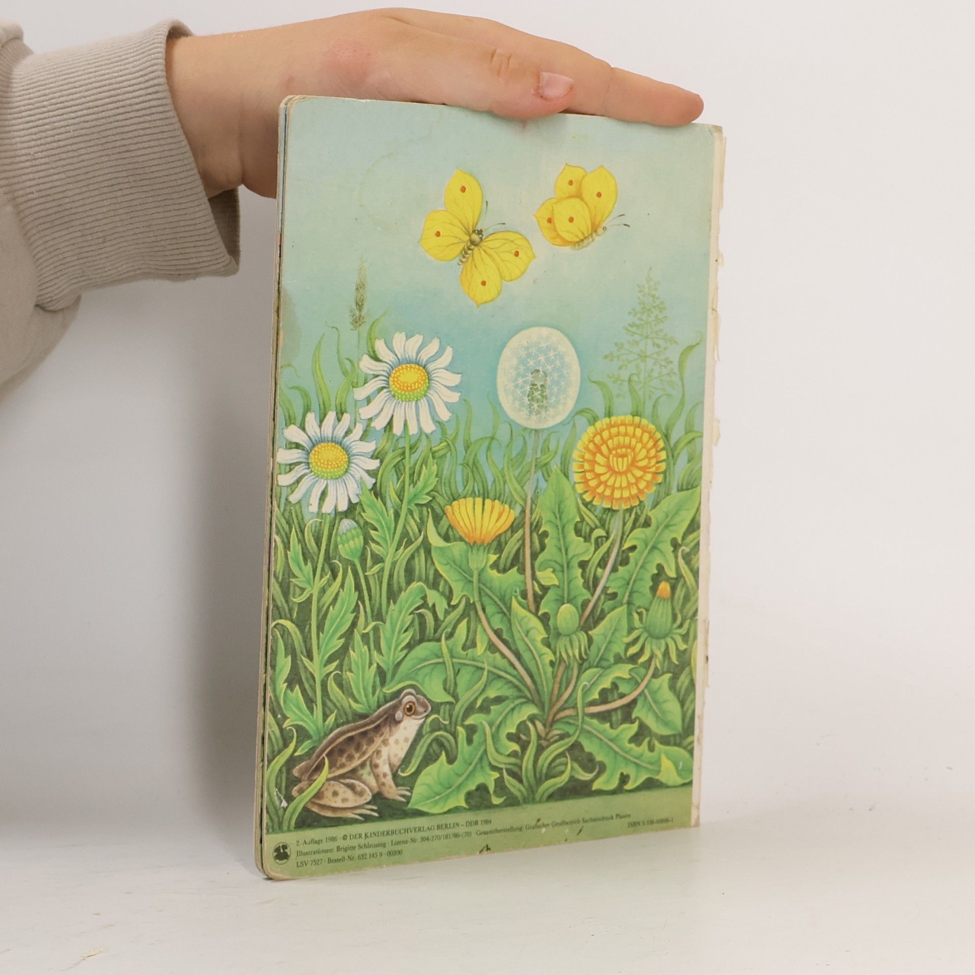 Brigitte Schleusing Sommerwiese