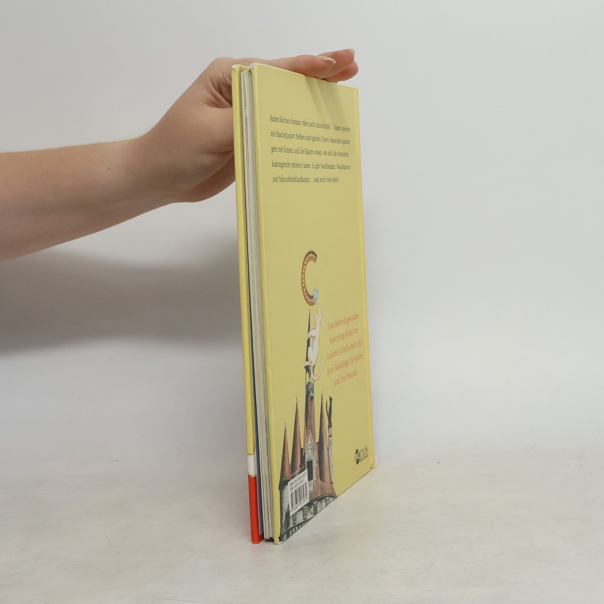 Friedl Hofbauer Das Schnurrbartkitzel-Katzenbuch