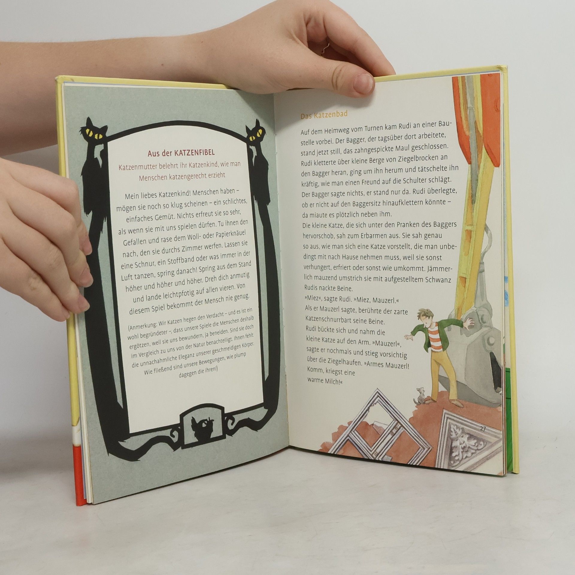 Friedl Hofbauer Das Schnurrbartkitzel-Katzenbuch