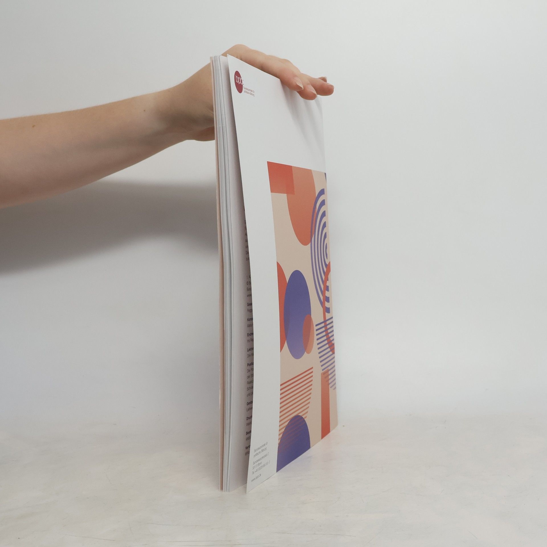 Collectif d'auteurs 75 Jahre Grundgesetz – intersektional gelesen